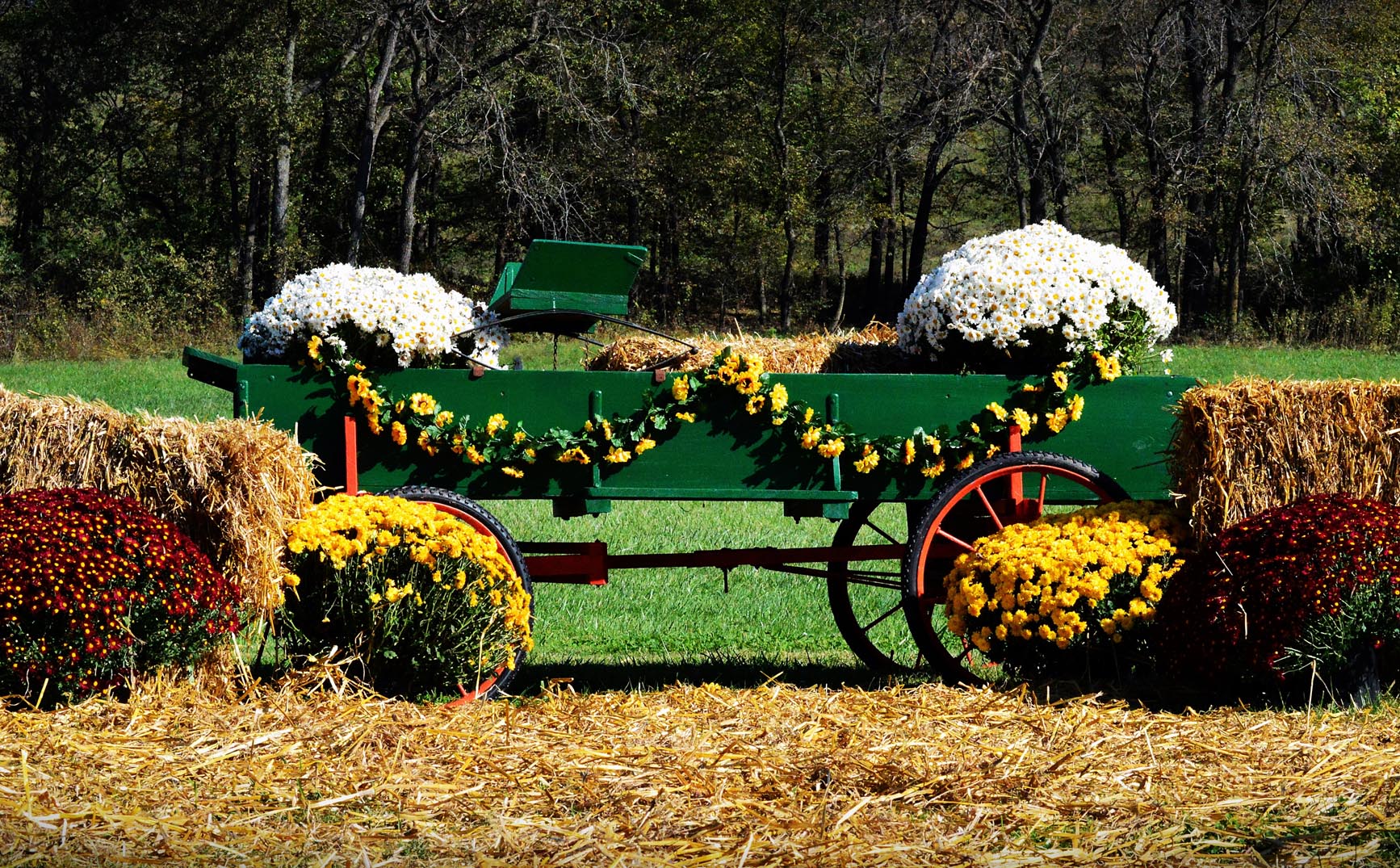 DIY Country Weddings