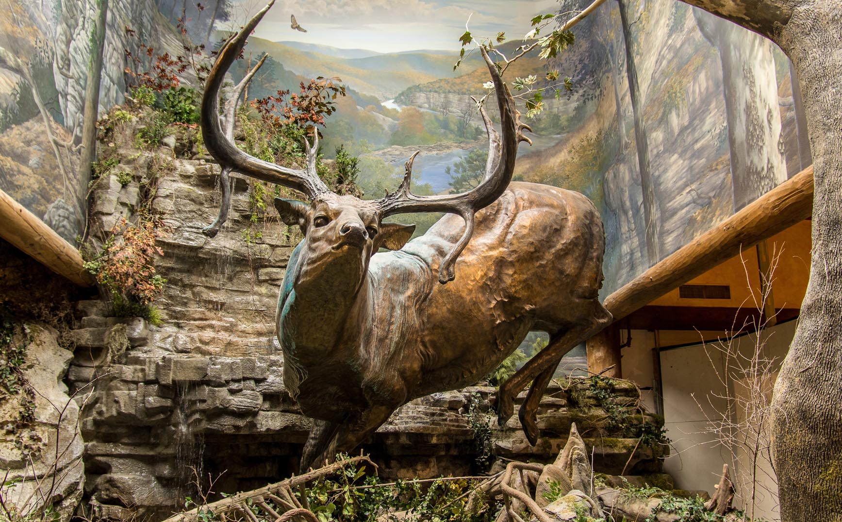 Bass Pro Shops Outdoor World