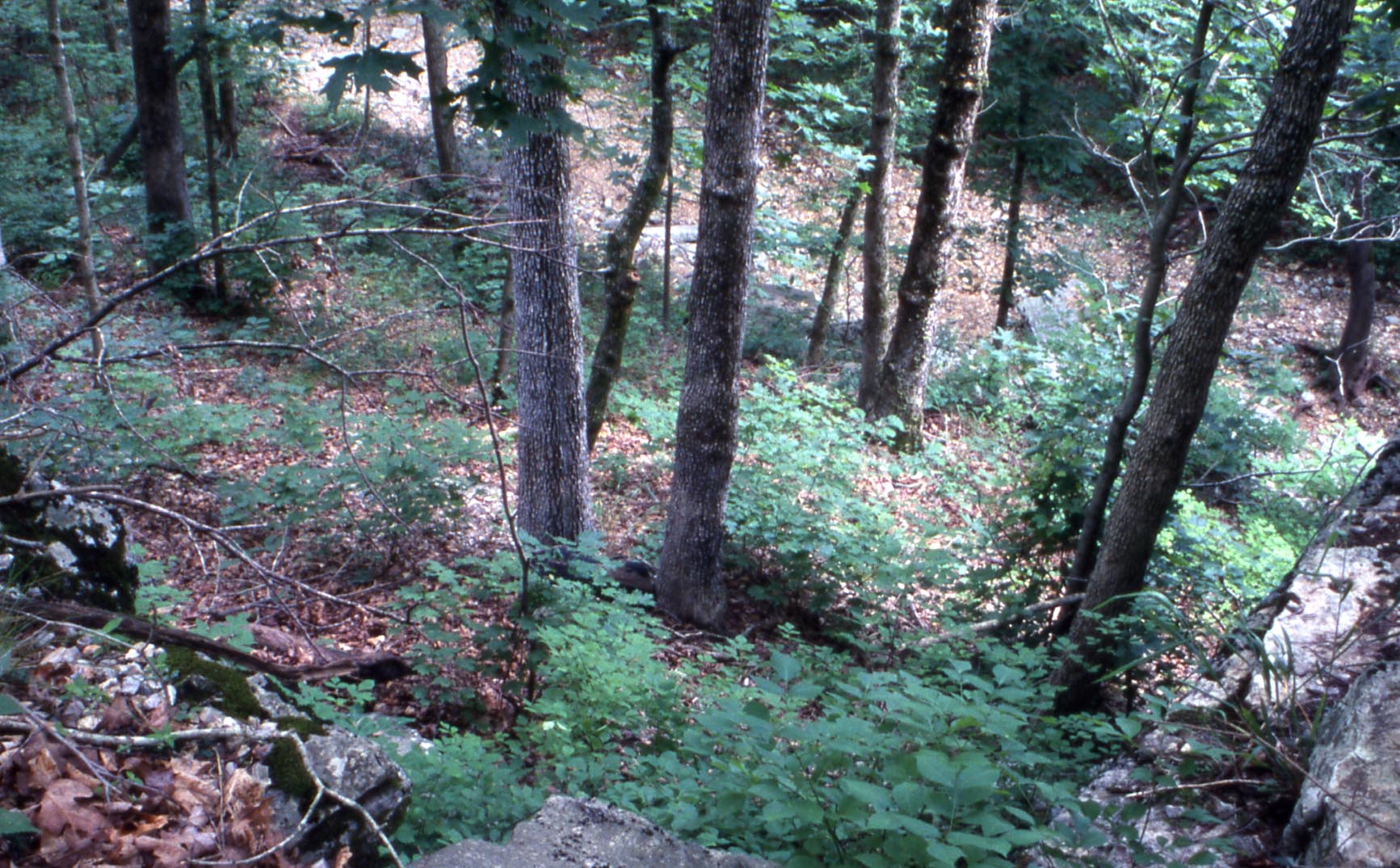 Big Sugar Creek State Park