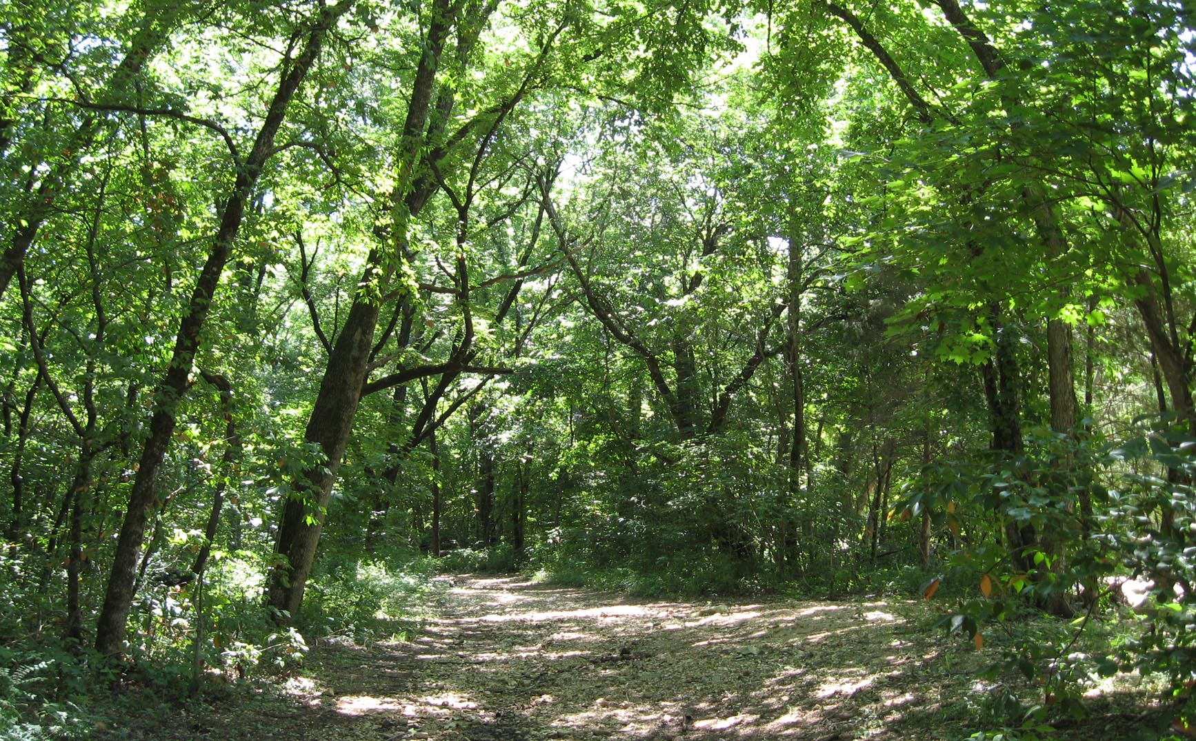 Busiek State Forest and Wildlife Area