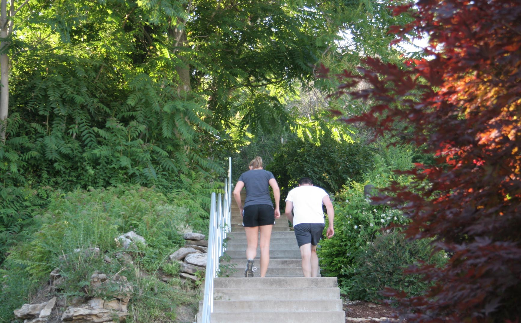 Only 244 steps to the lighthouse!
