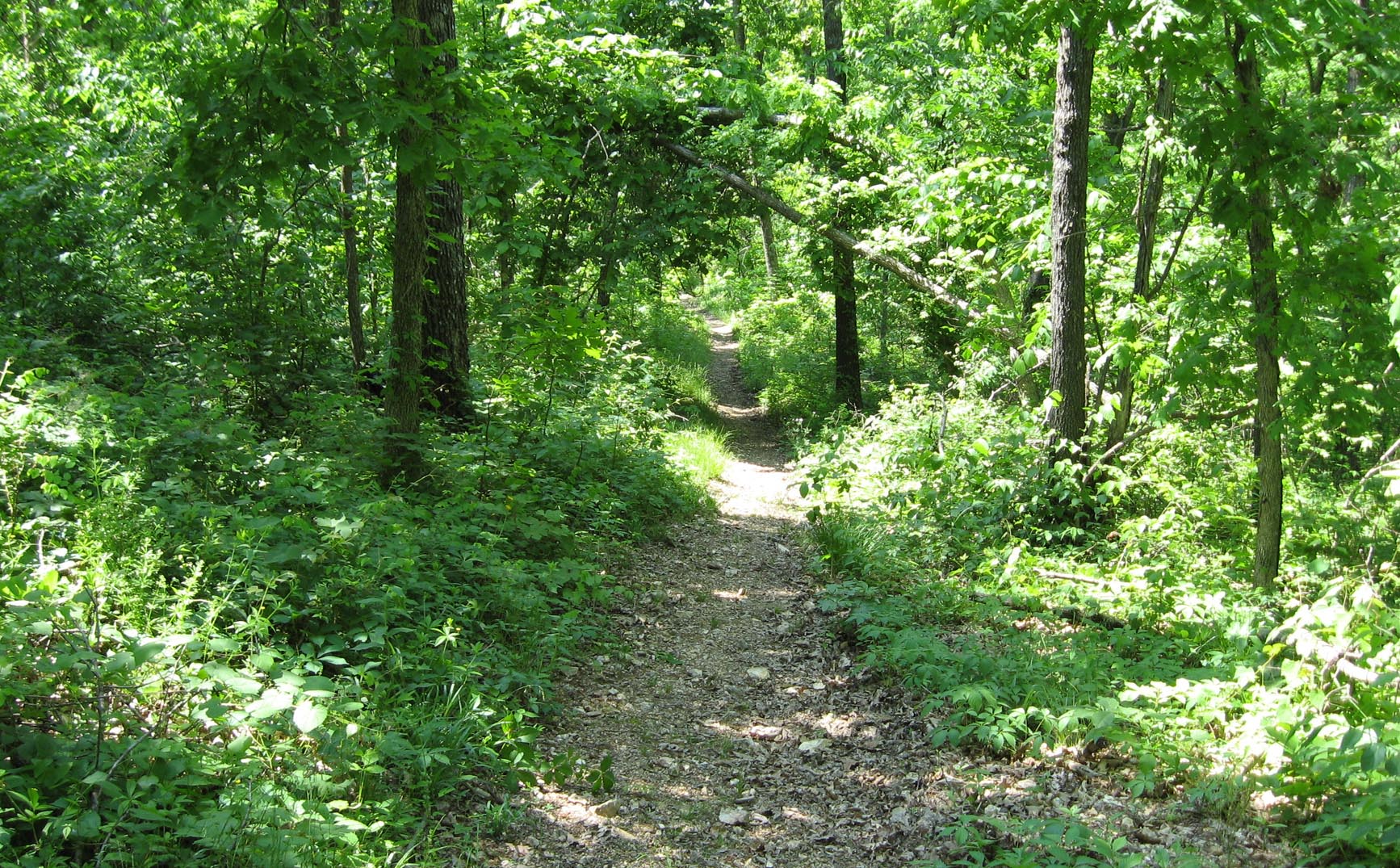 Compton Hollow Conservation Area