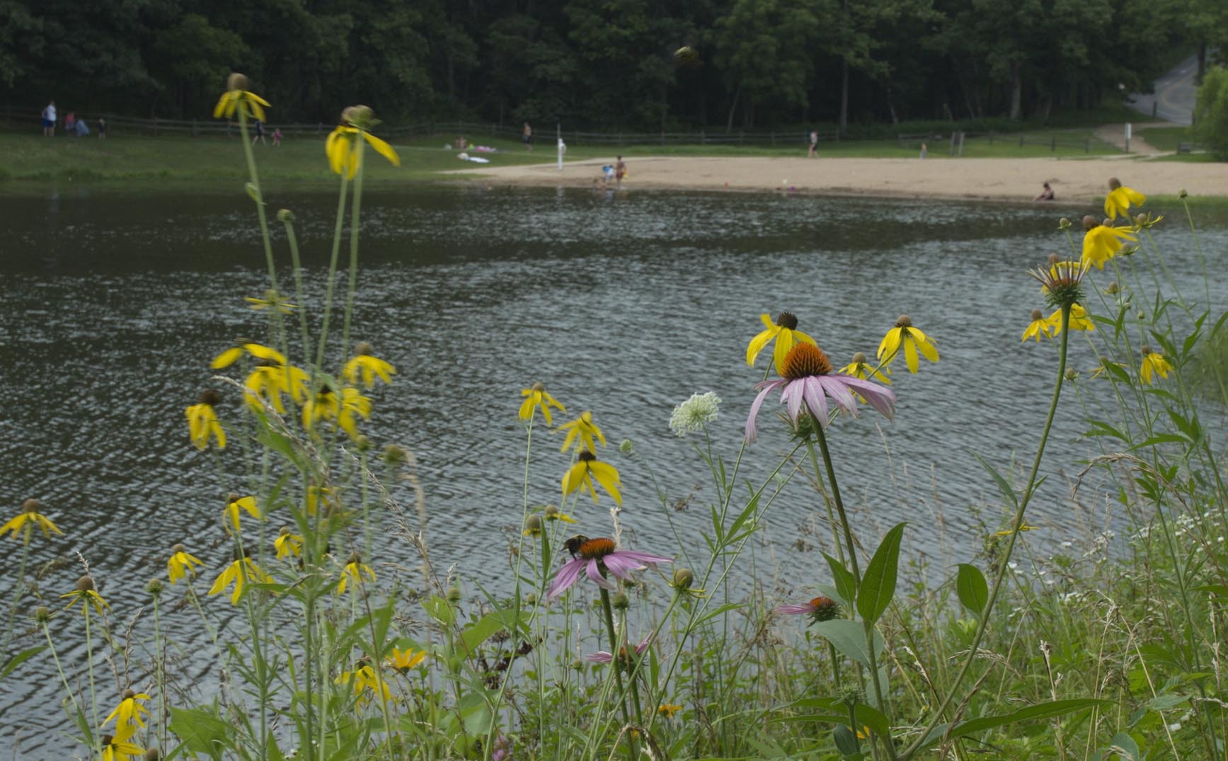 Cuivre River State Park