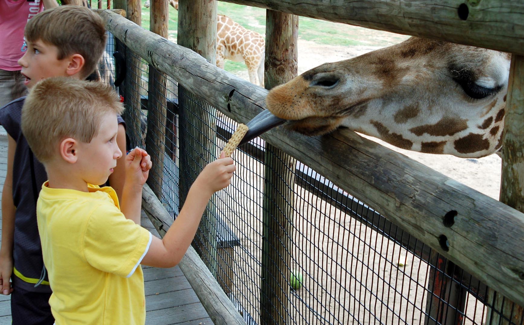 You have a hand in conservation.