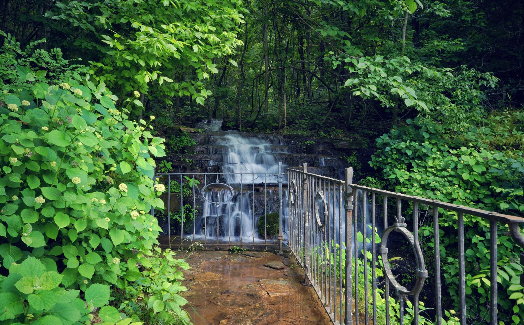 Dogwood Canyon Nature Park