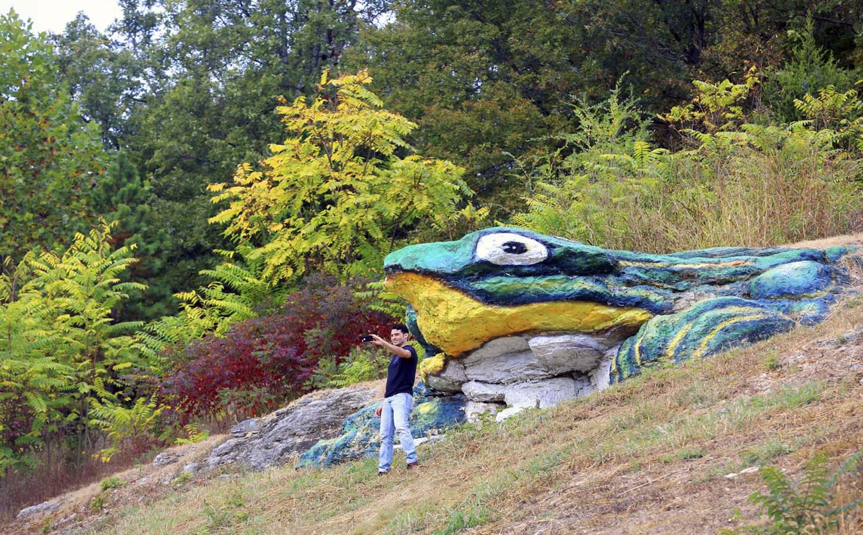 Frog Rock - "W.H. Croaker", Waynesville