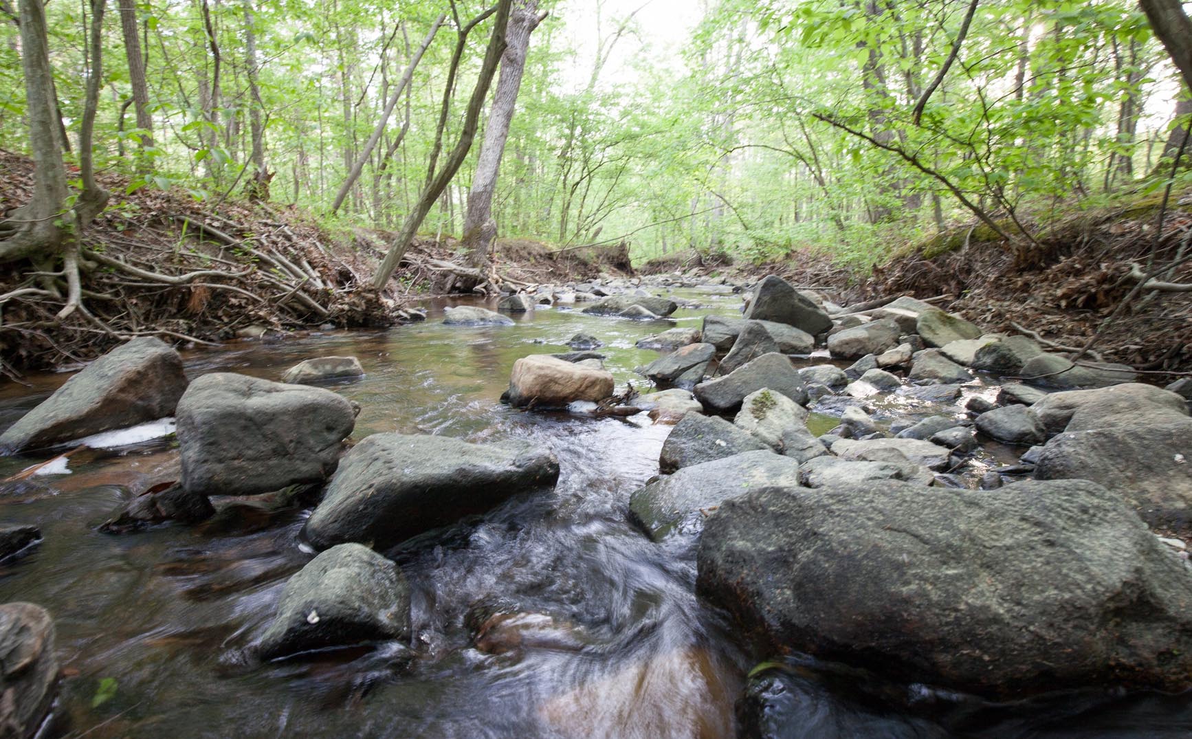 Pickle Creek at Hawn State Park