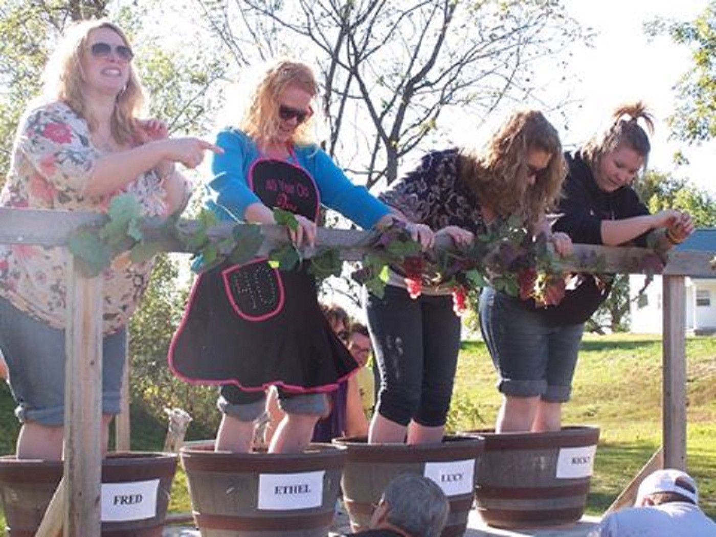 Grape Stomping