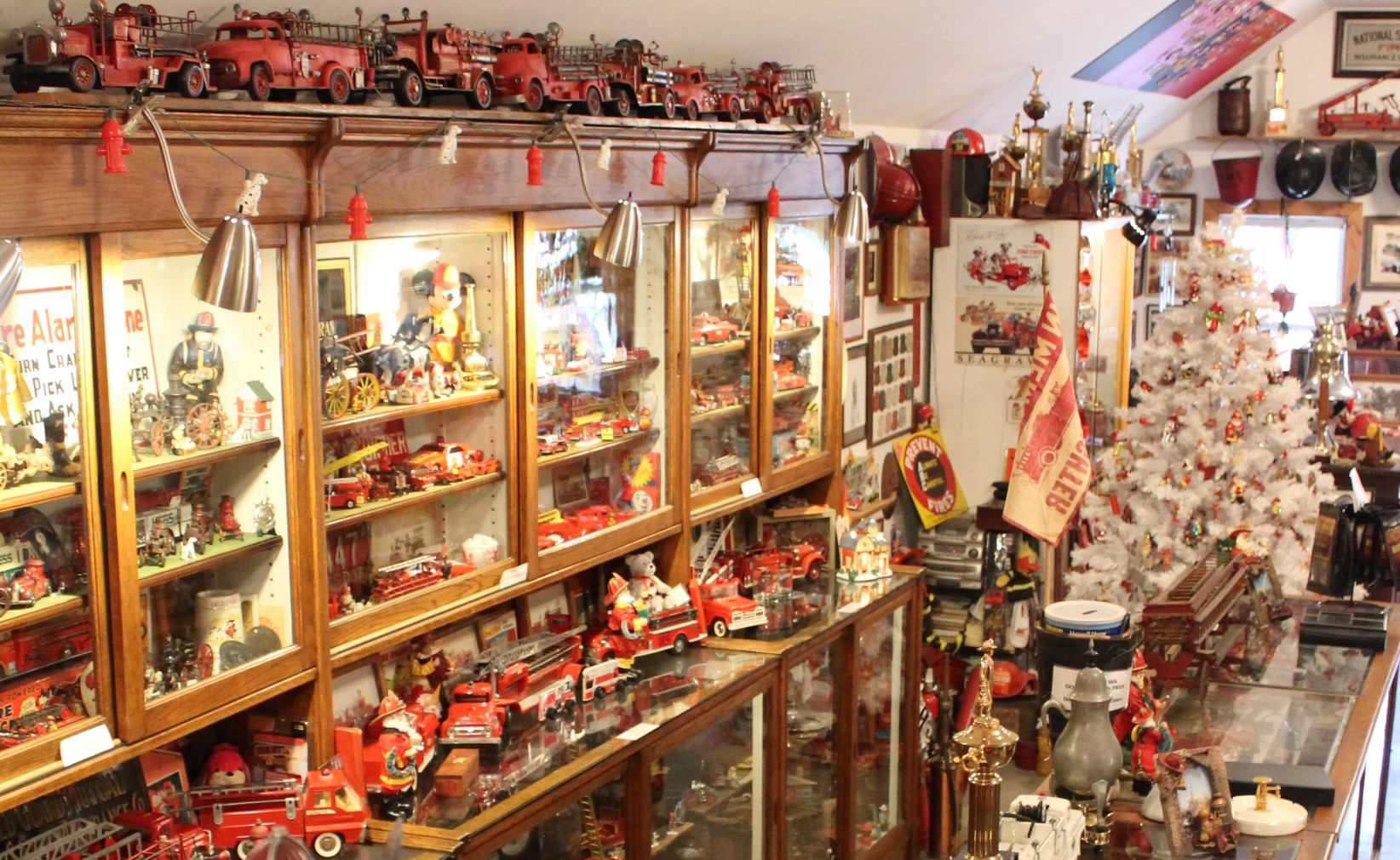 Picture of Part of Collction on display