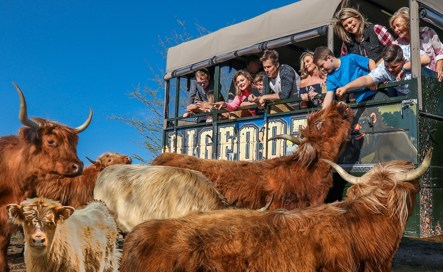 Guaranteed Encounters with Hairy Beasts on the Bigfoot Adventure Tour!