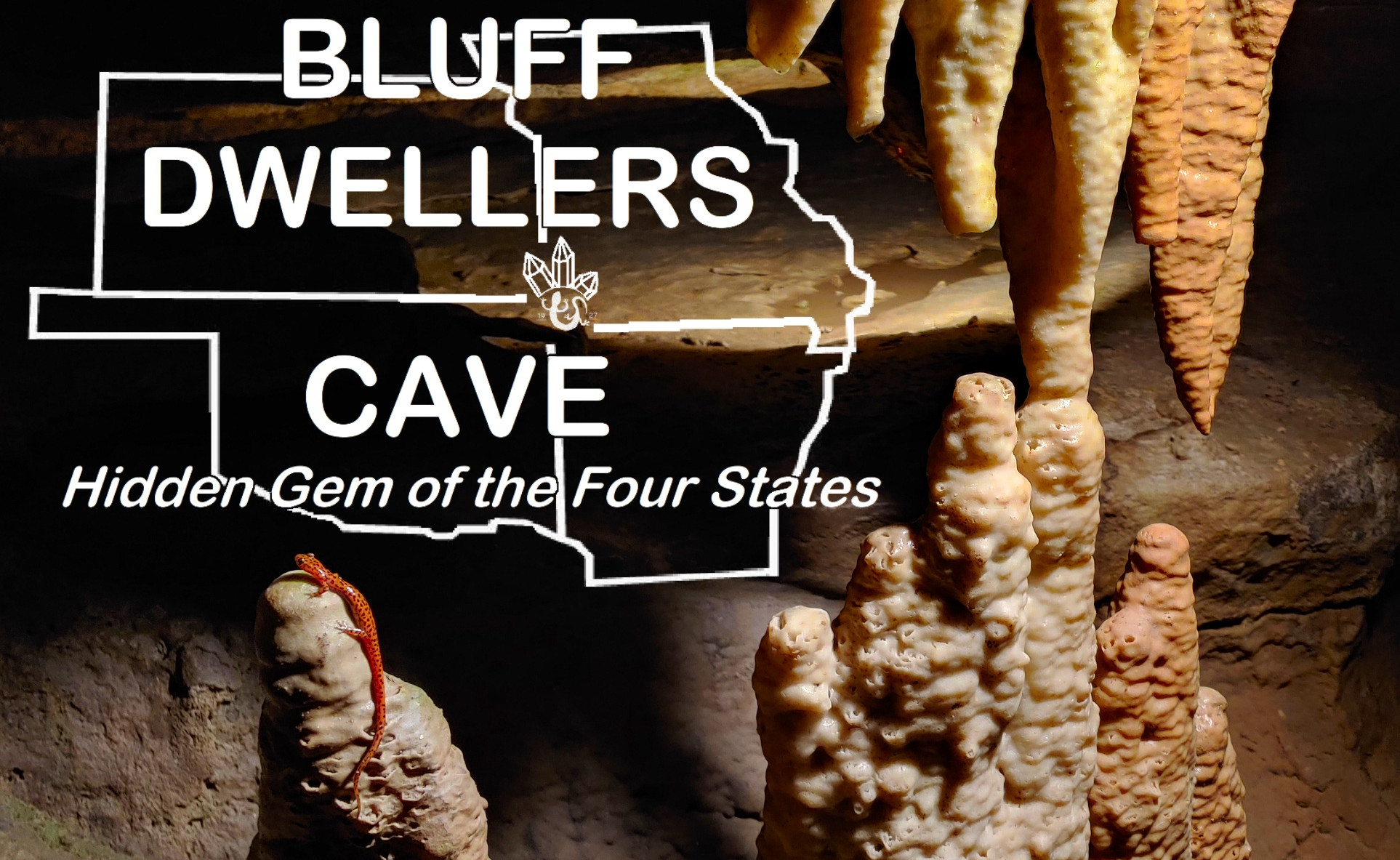Cave Salamander on stalagmite in Bluff Dwellers Cave