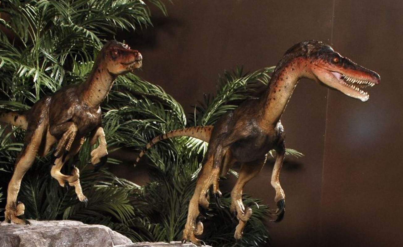 Tiny Dinosaurs