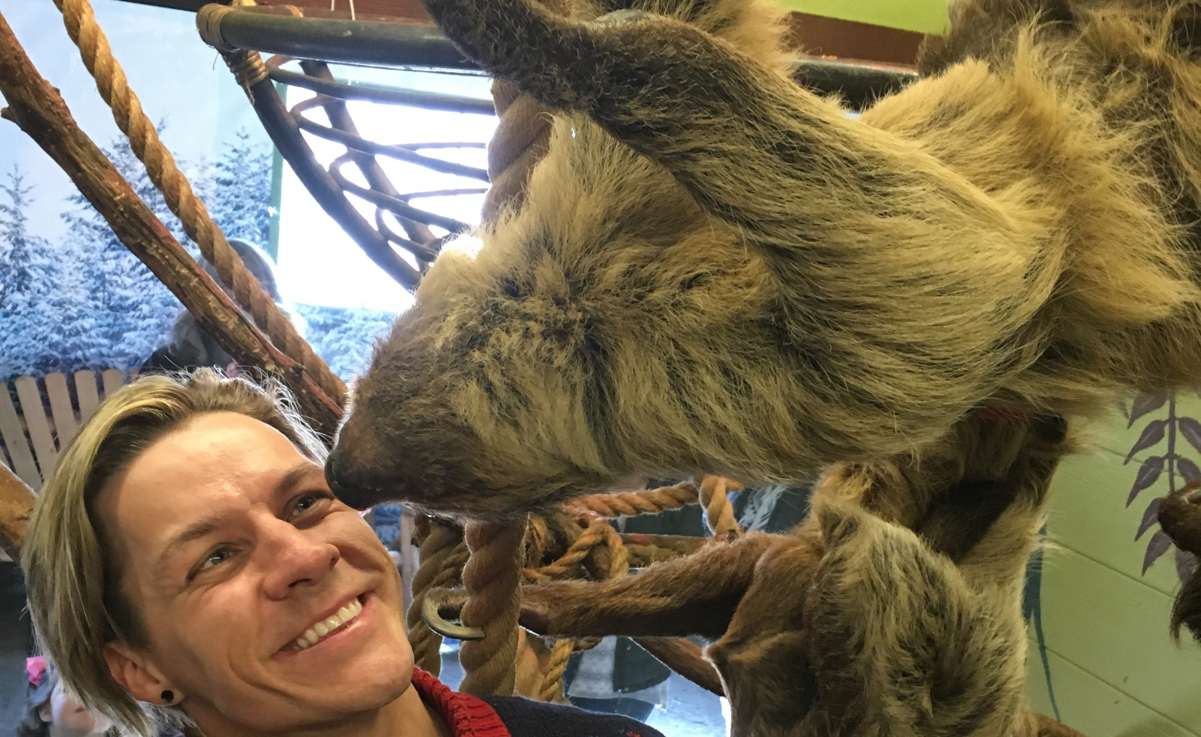 Close Encounters of the Sloth Kind!