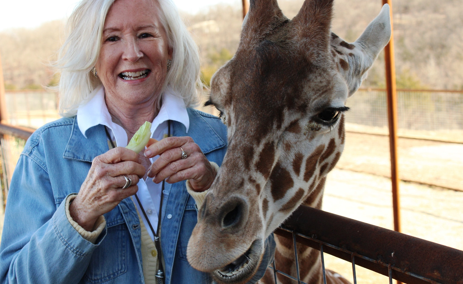 Meet Mace the Giraffe at Promised Land Zoo!
