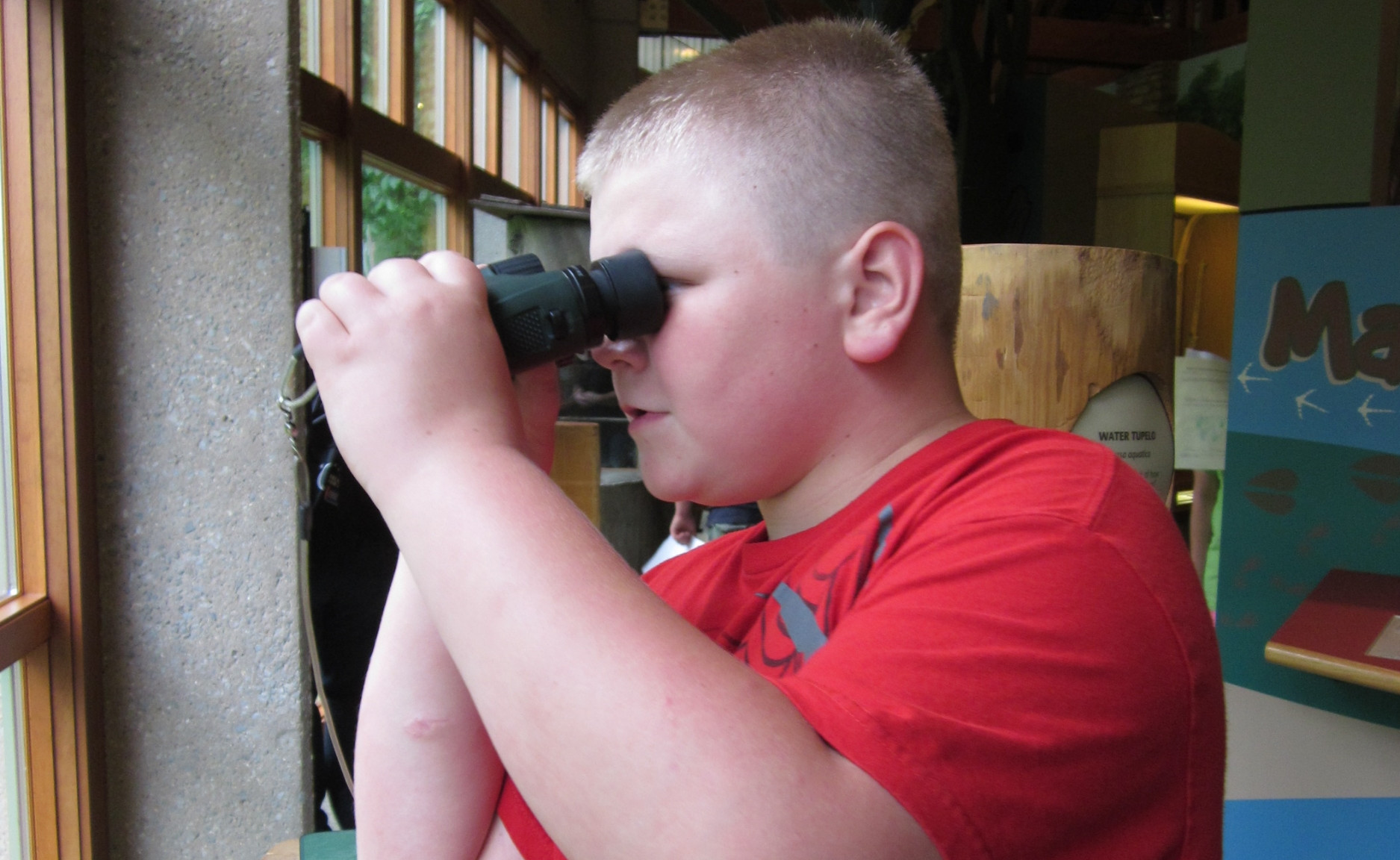 Bird Watching