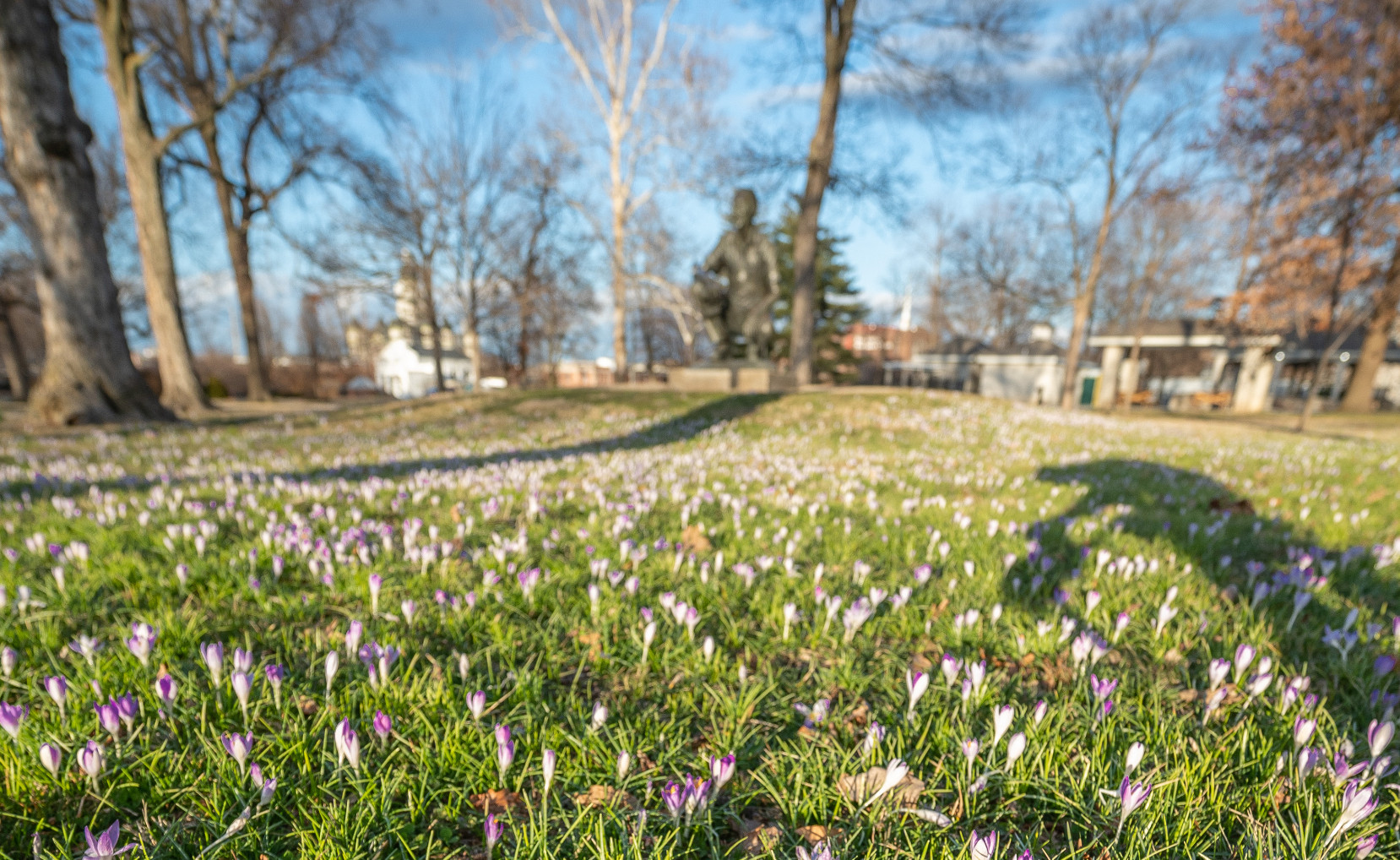 Central Park in the Spring