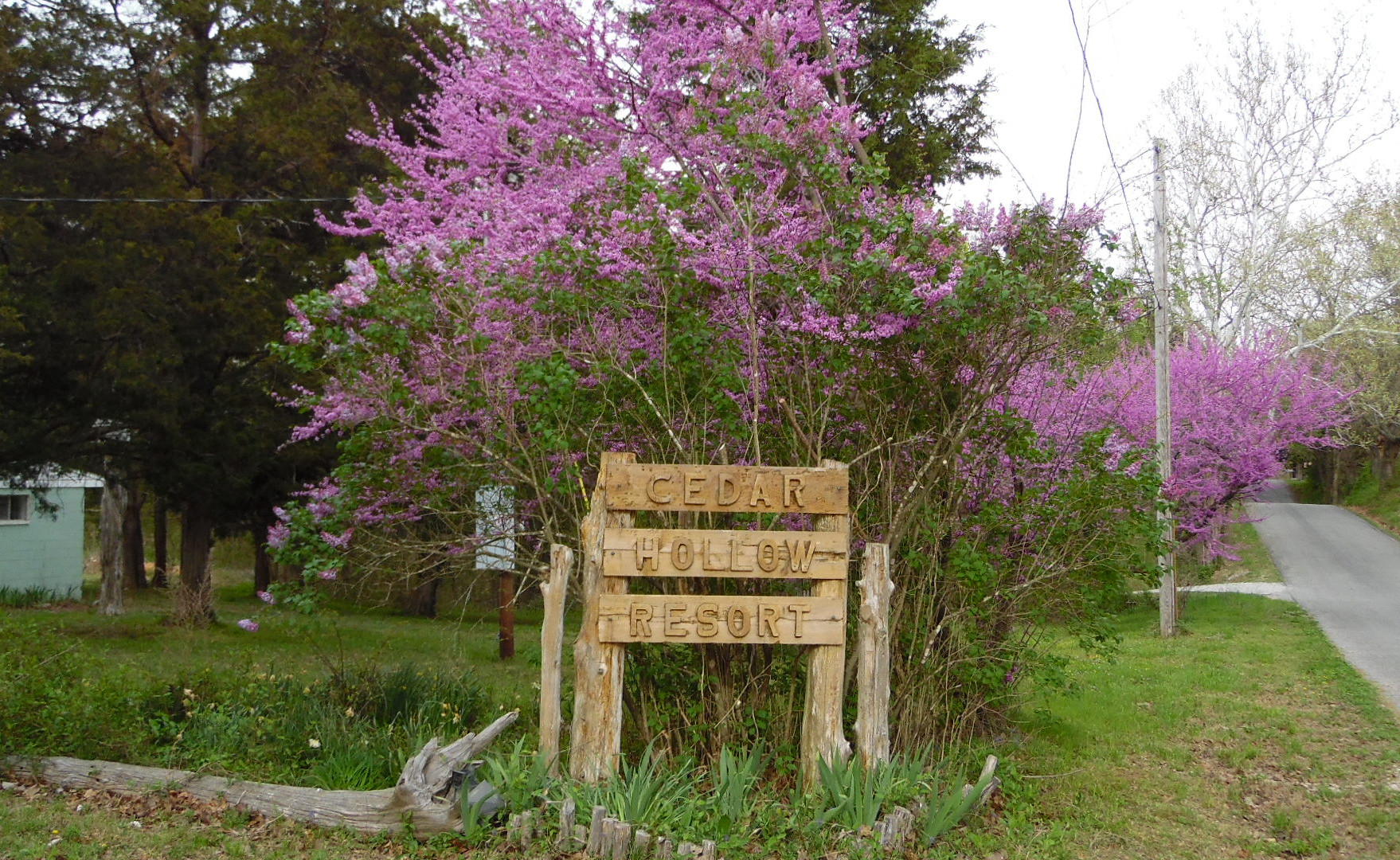 Cedar Hollow Resort