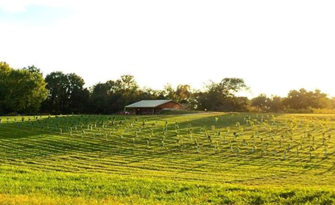 Winery in Sun