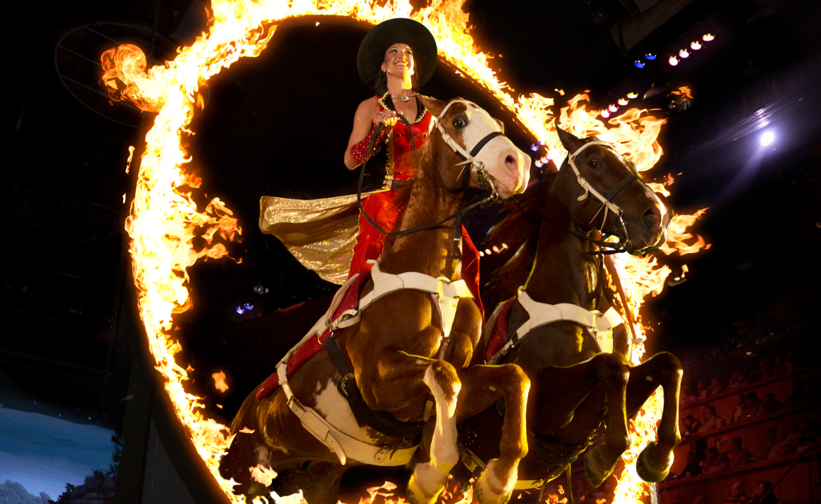 Stampede Roman Rider