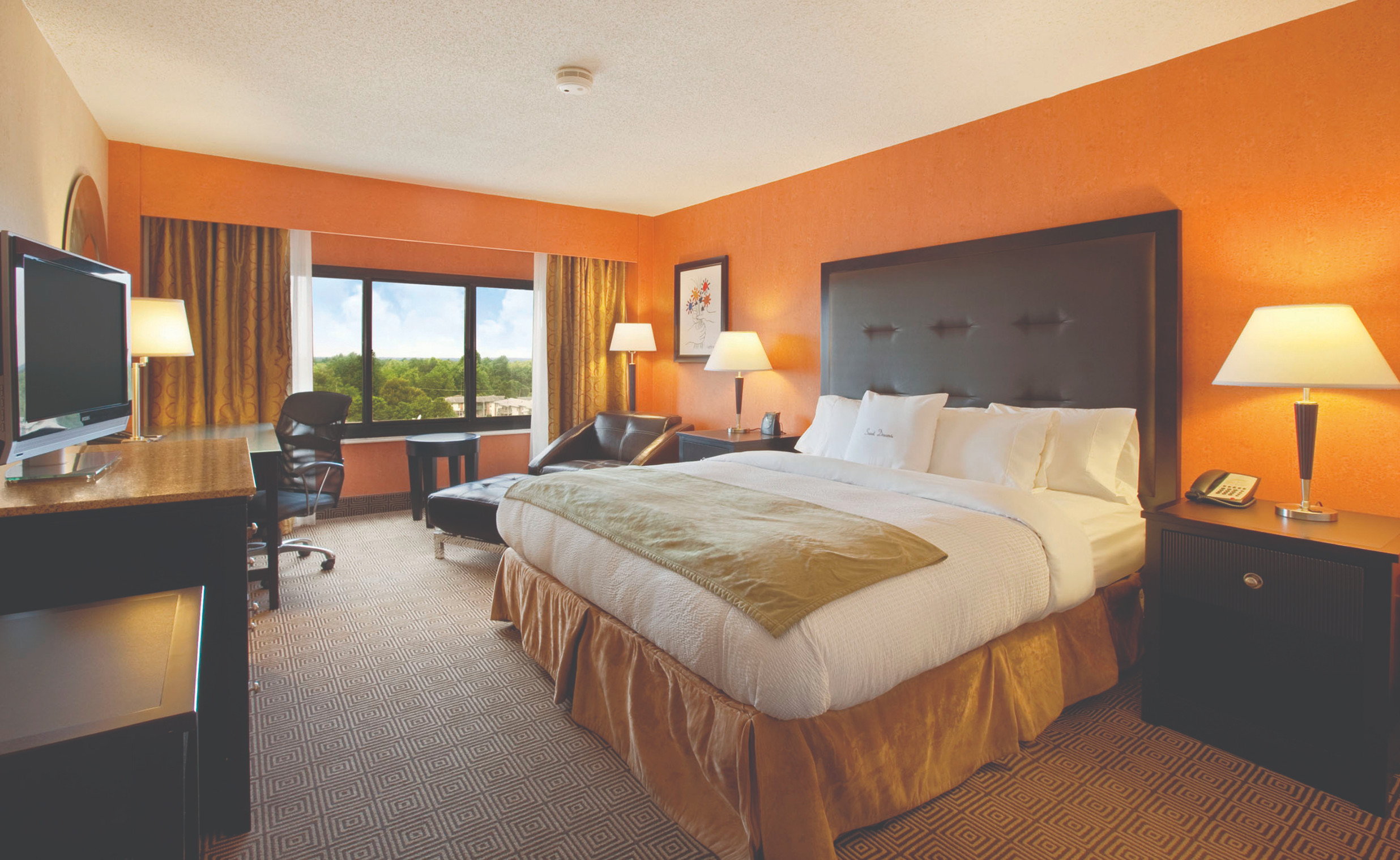 DoubleTree by Hilton Springfield - Single King Sleeping Room
