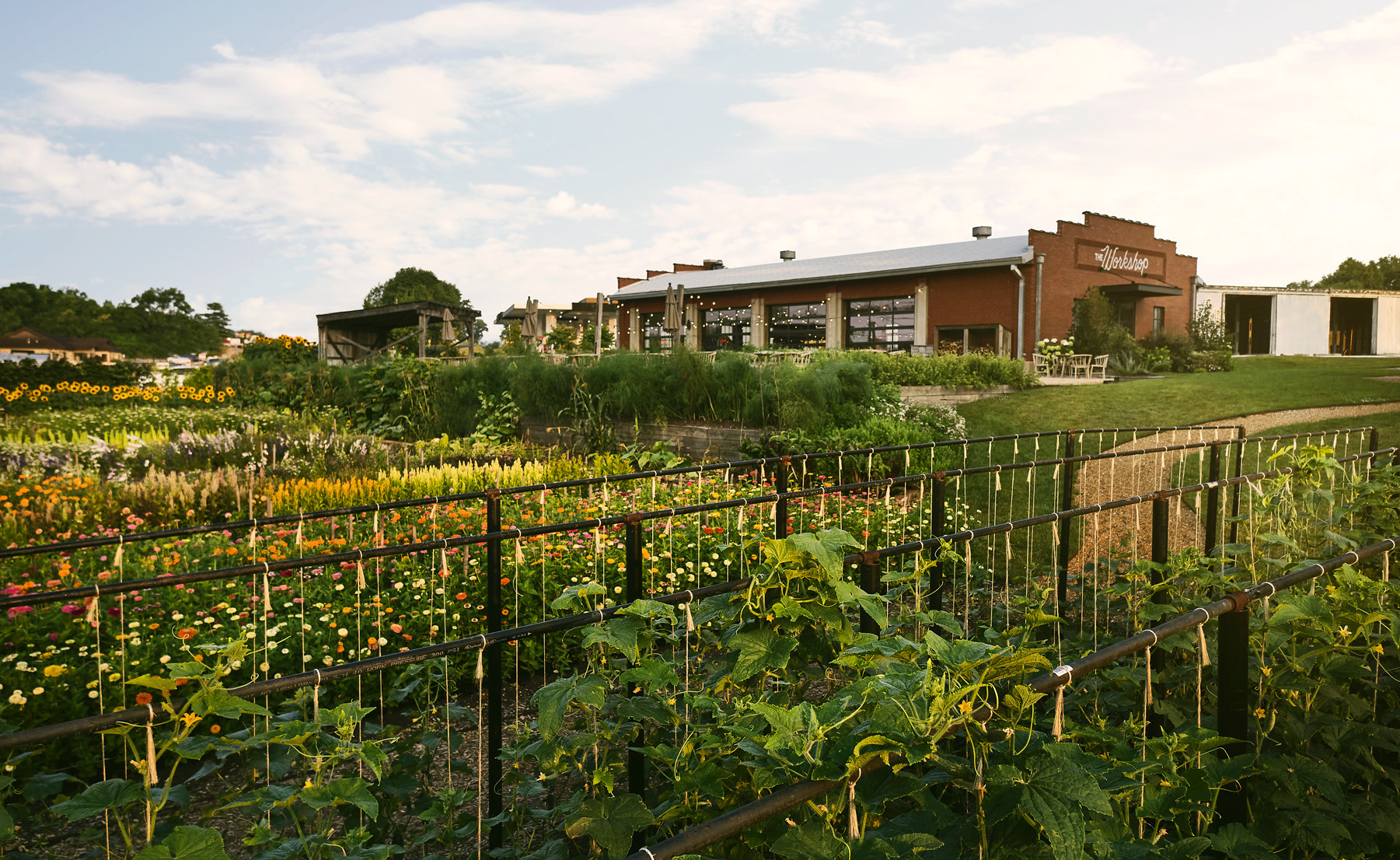 An urban farm at Finley Farms sits just below The Workshop and provides fresh produce for on-property restaurants in addition to hands-on workshops.