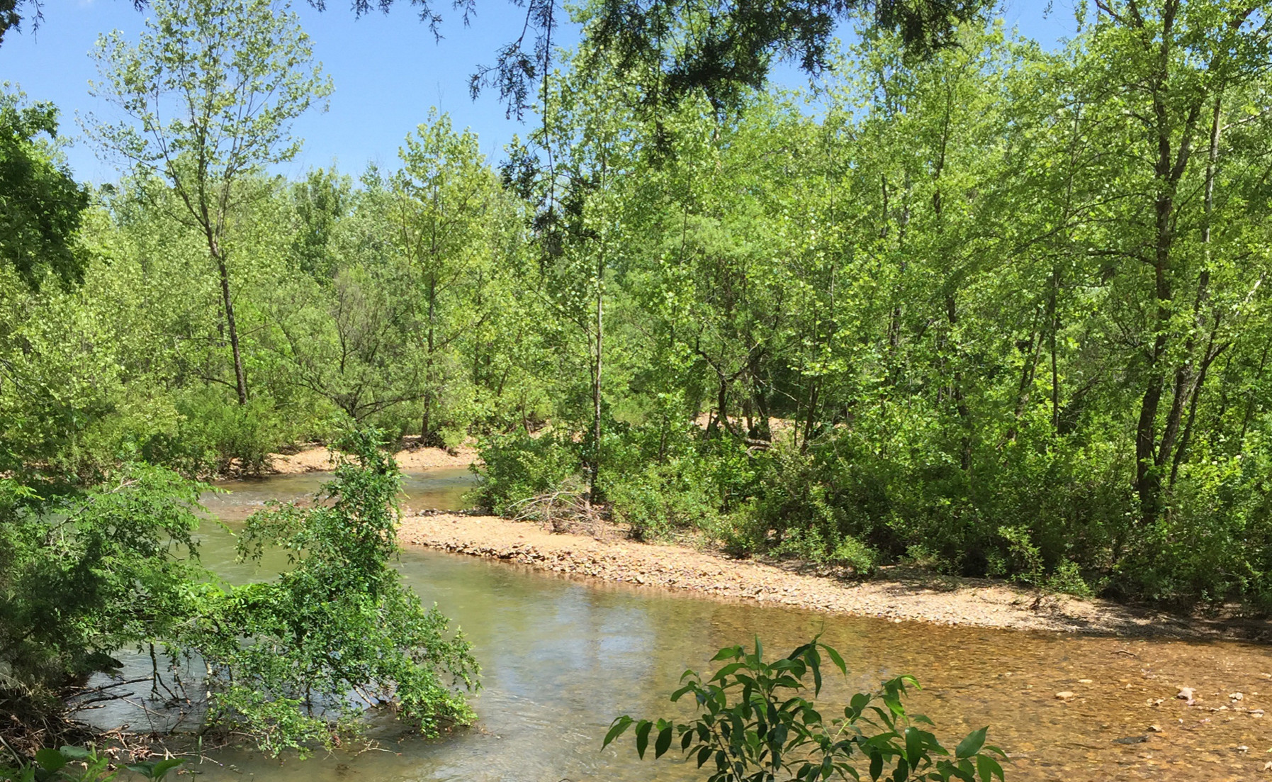 East Fork Black River