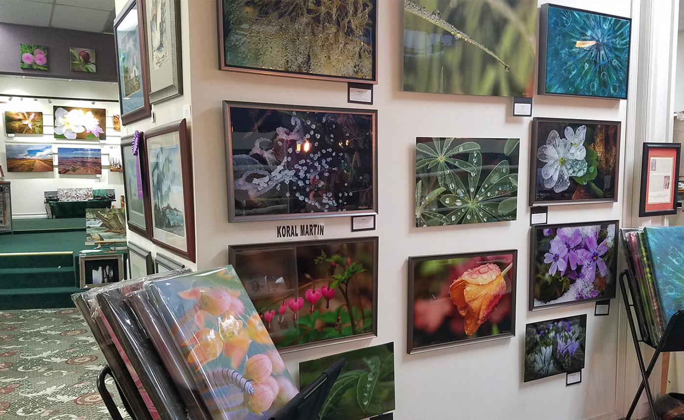 Koka Gallery - Koral Martin Fine Art Photography