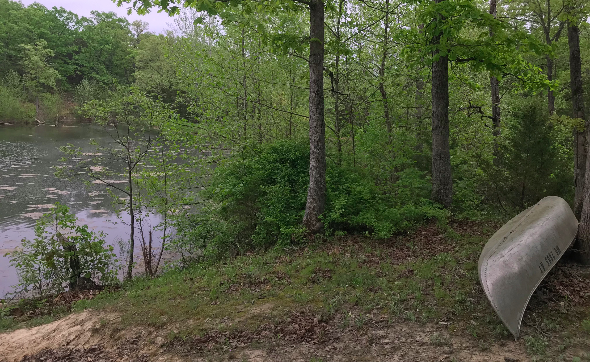 Lake David