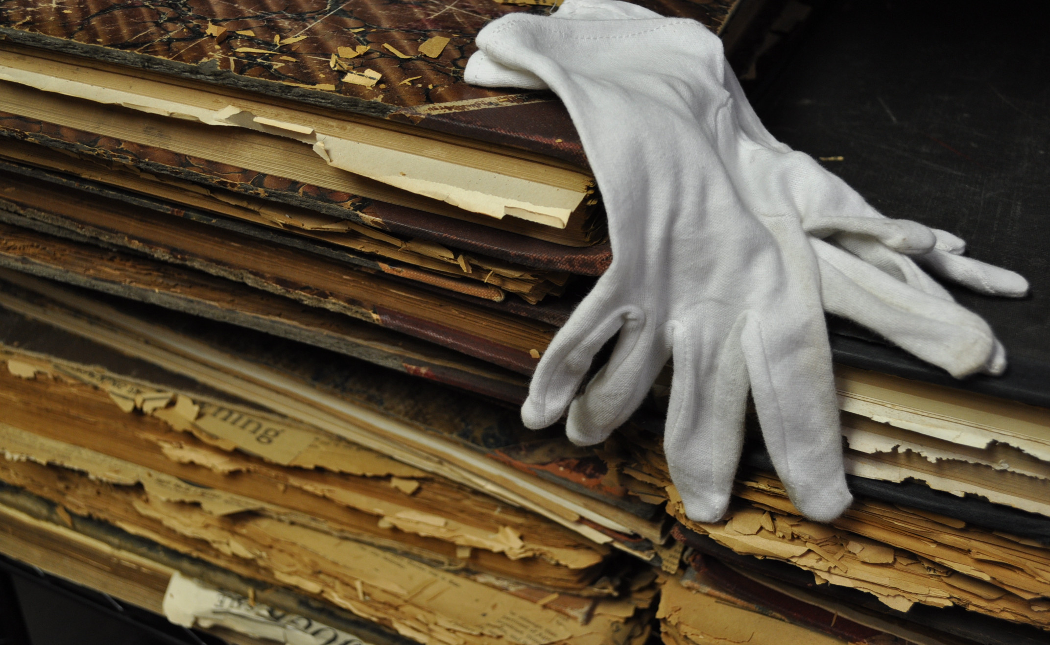 LS Journal Newspapers