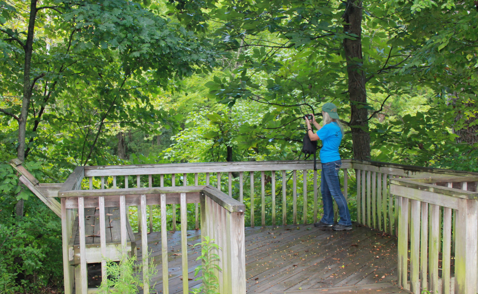 Scenic view if Rush Creek.