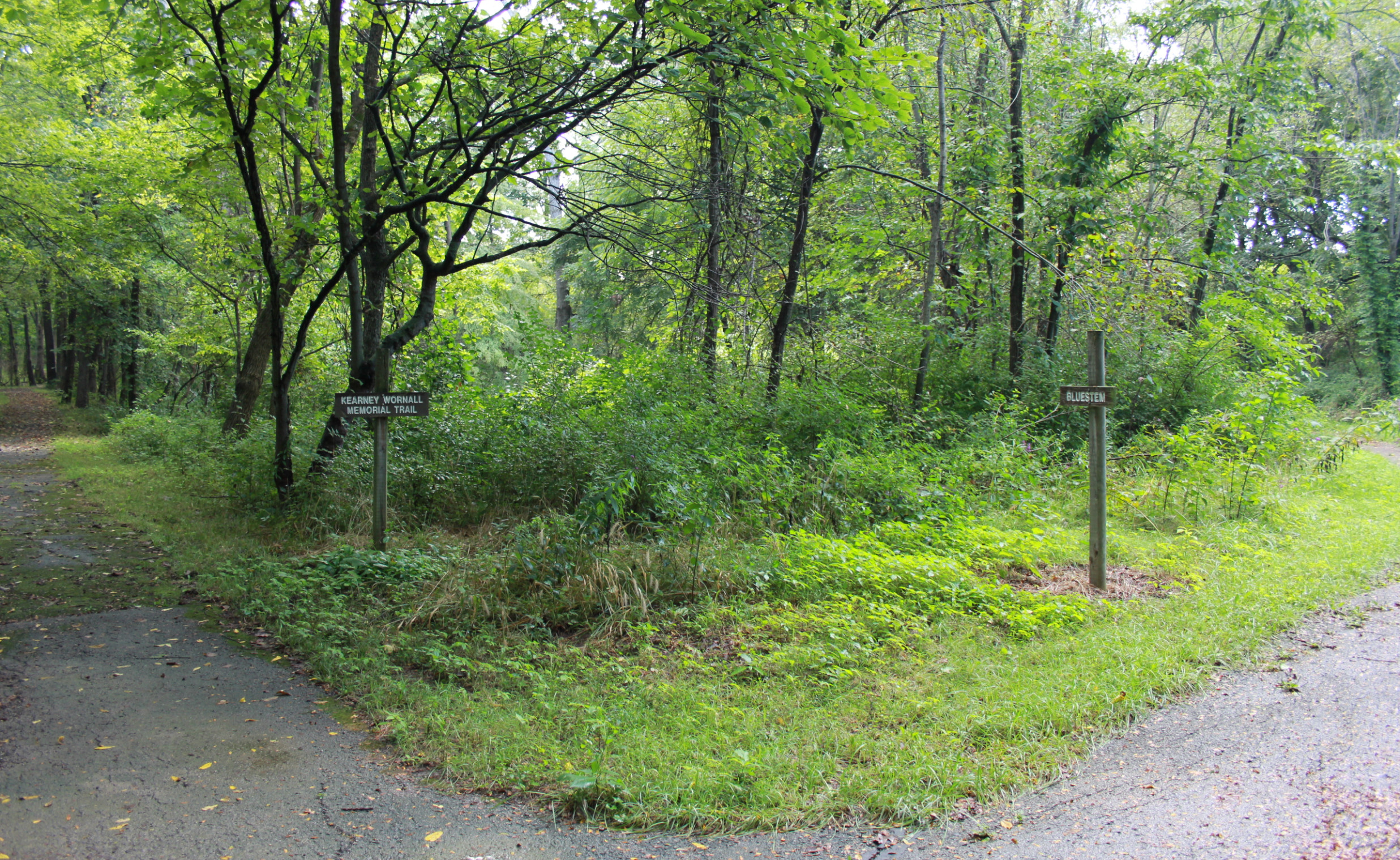 Some asphalt trails