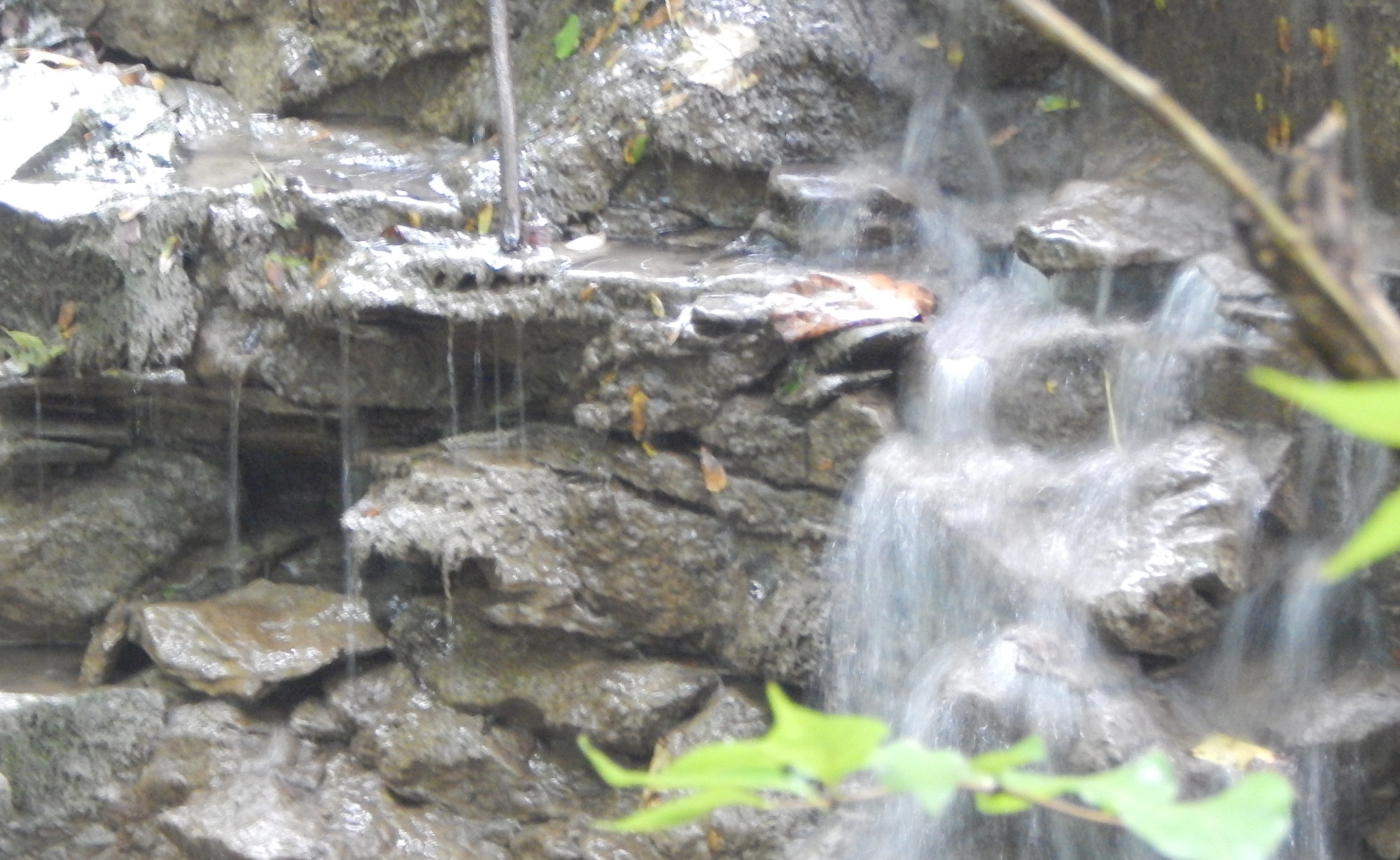 Hike the riparian habitat.