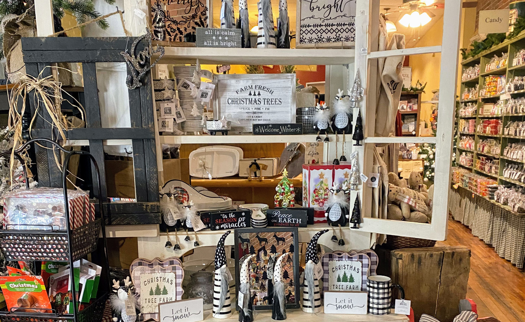 Home Decor & Gift items