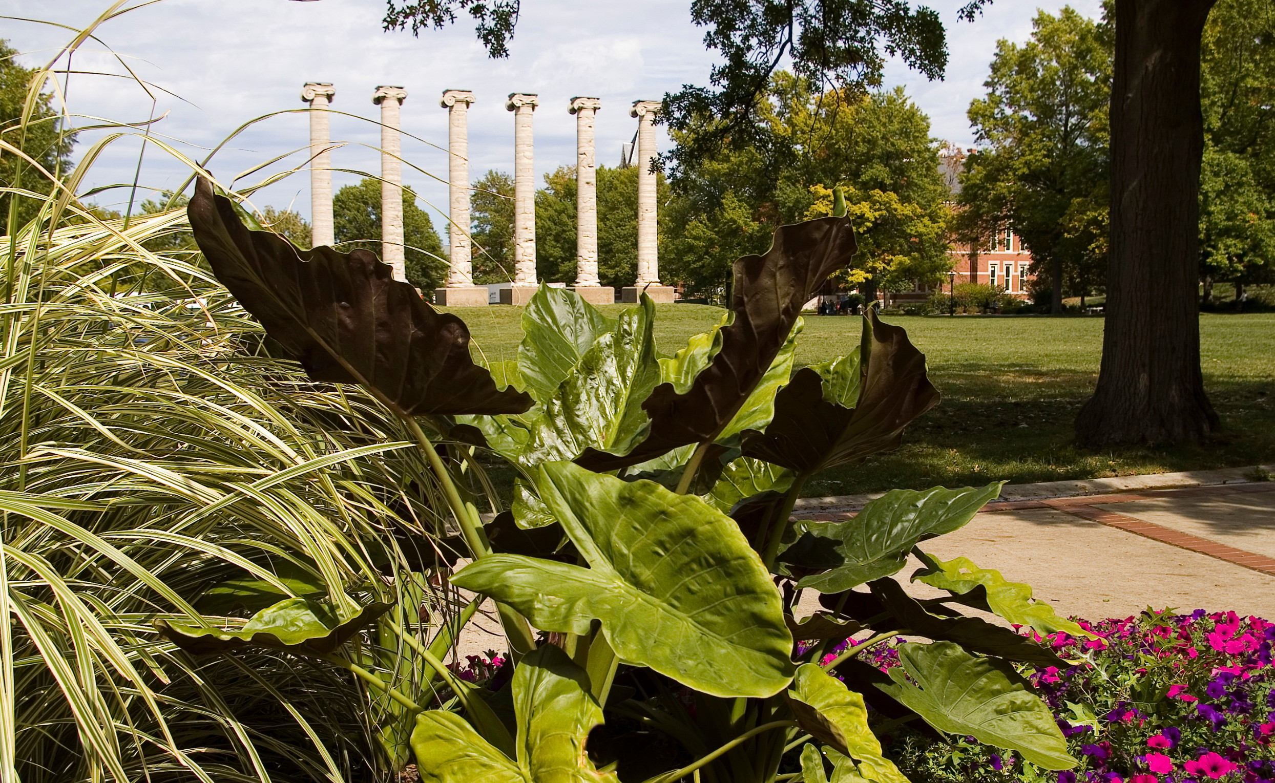 The historic columns on Francis Quadrangle