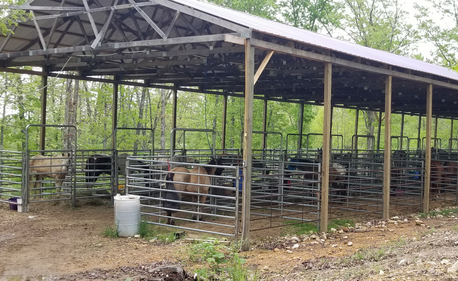 one of our barns