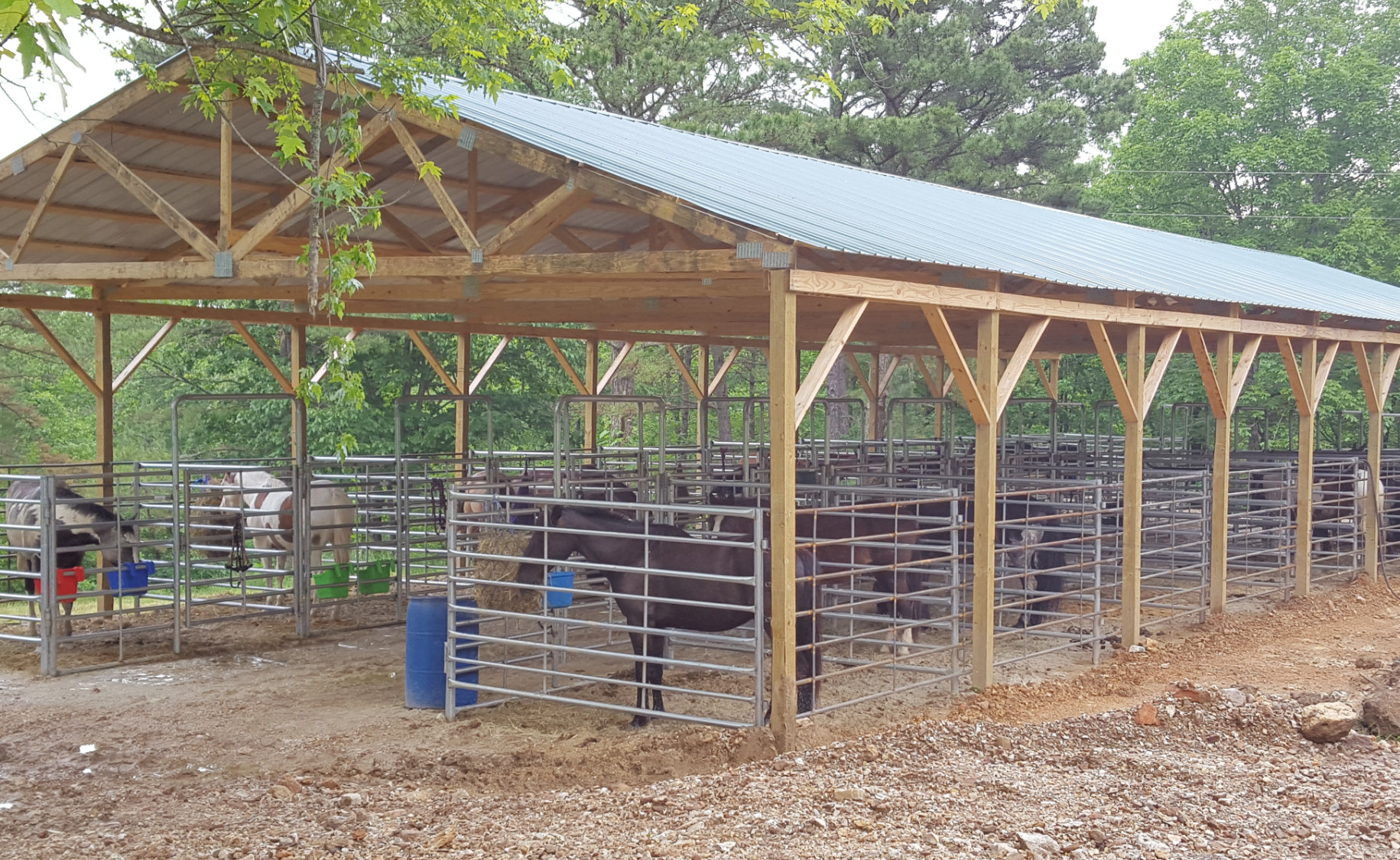 one of our barns