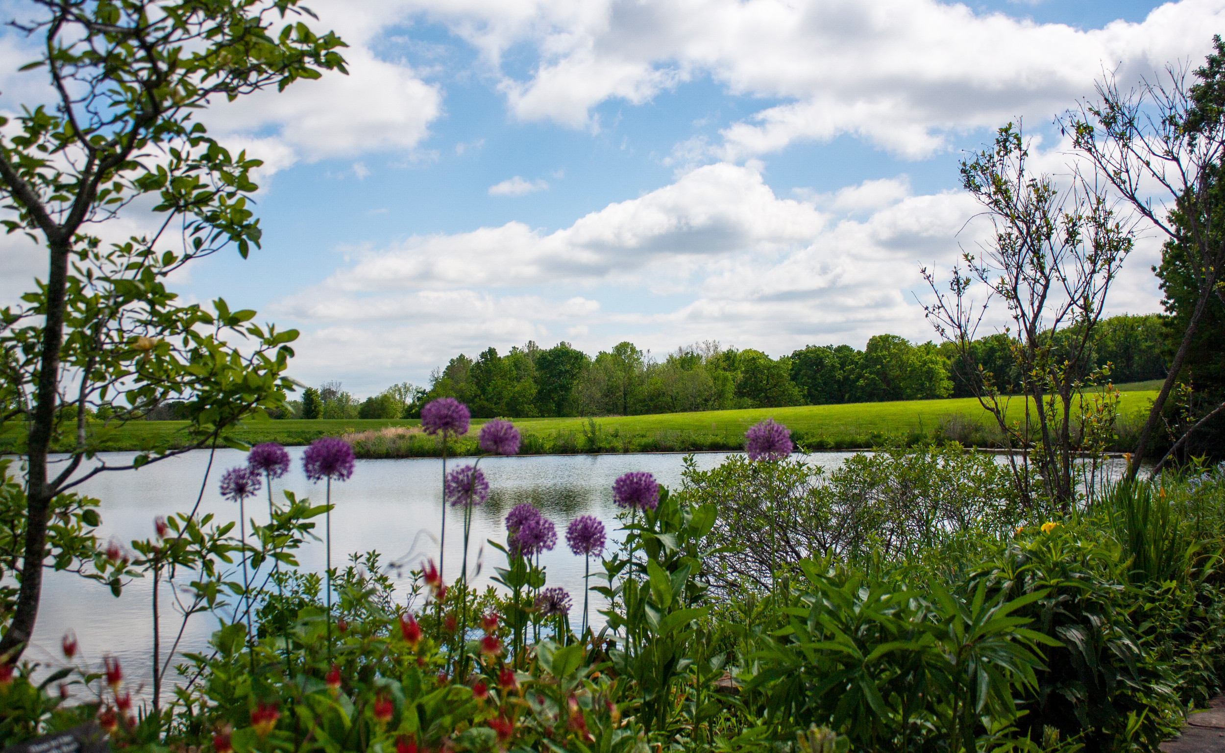 Powell Gardens