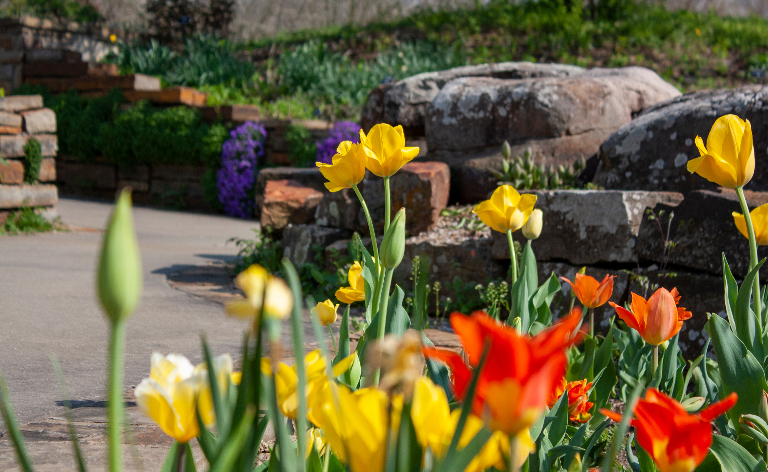 Powell Gardens