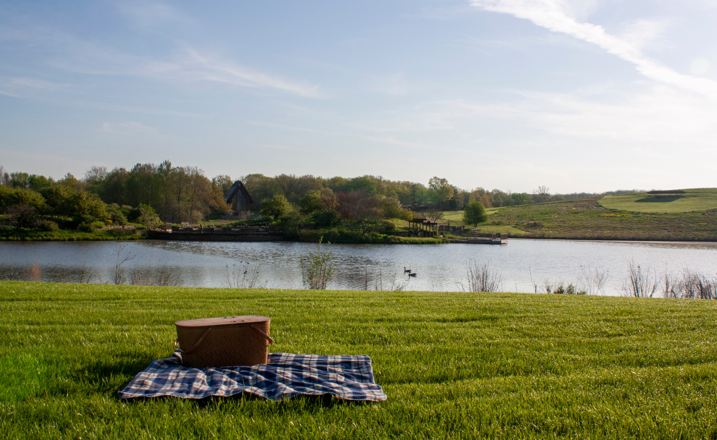 Picnics welcome