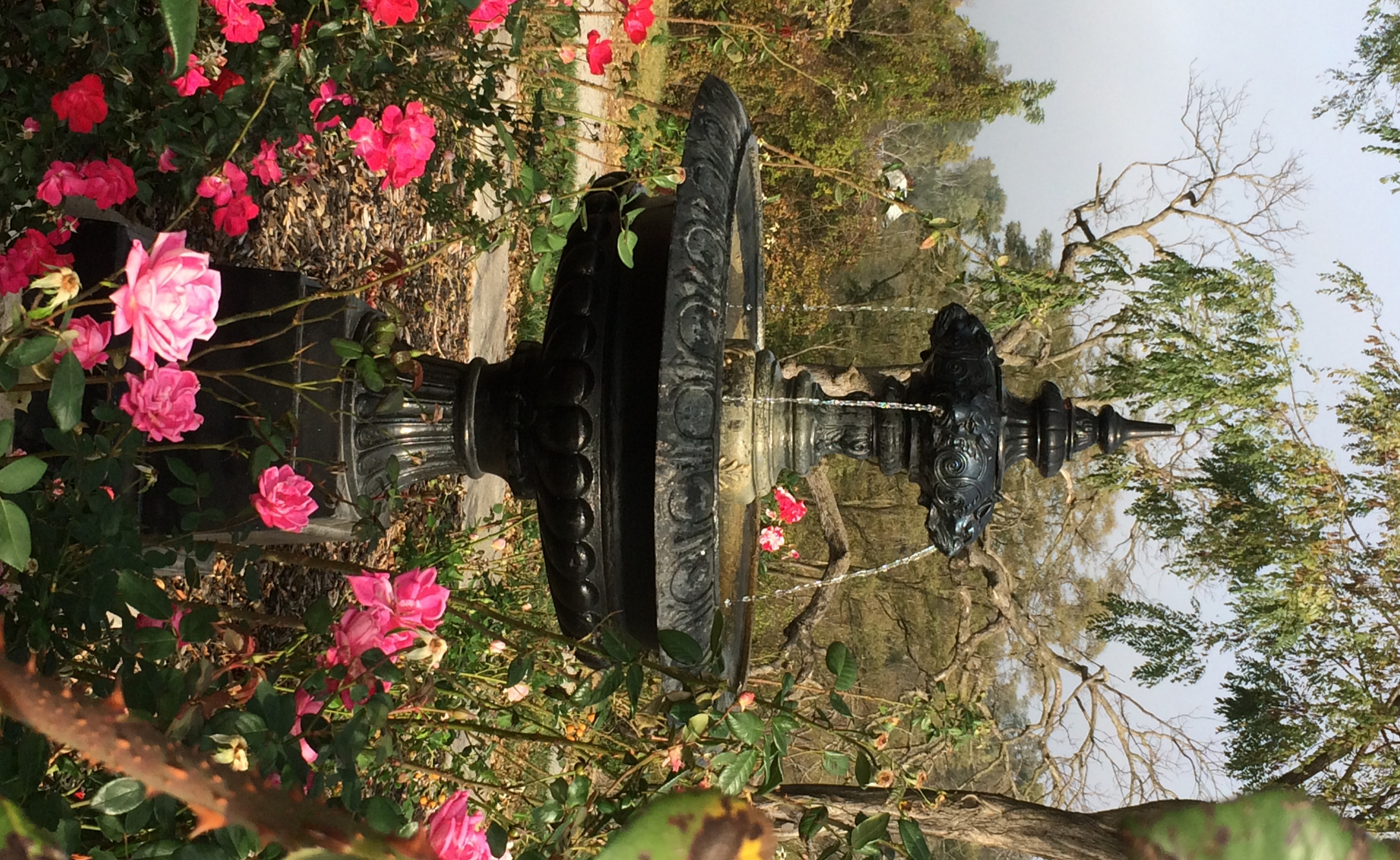 Fountain in Rose Circle