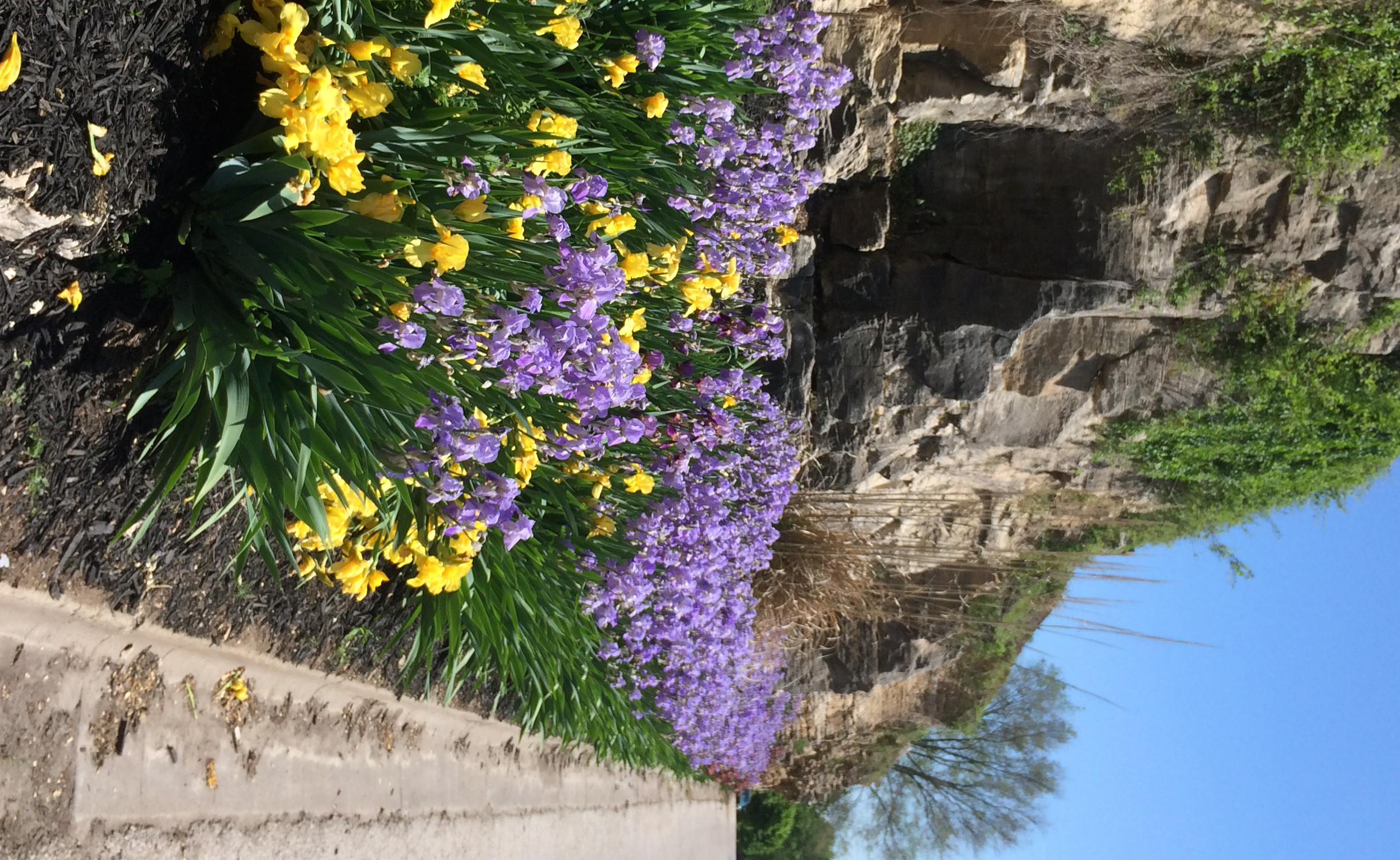 Rock Cliff along Bird Street