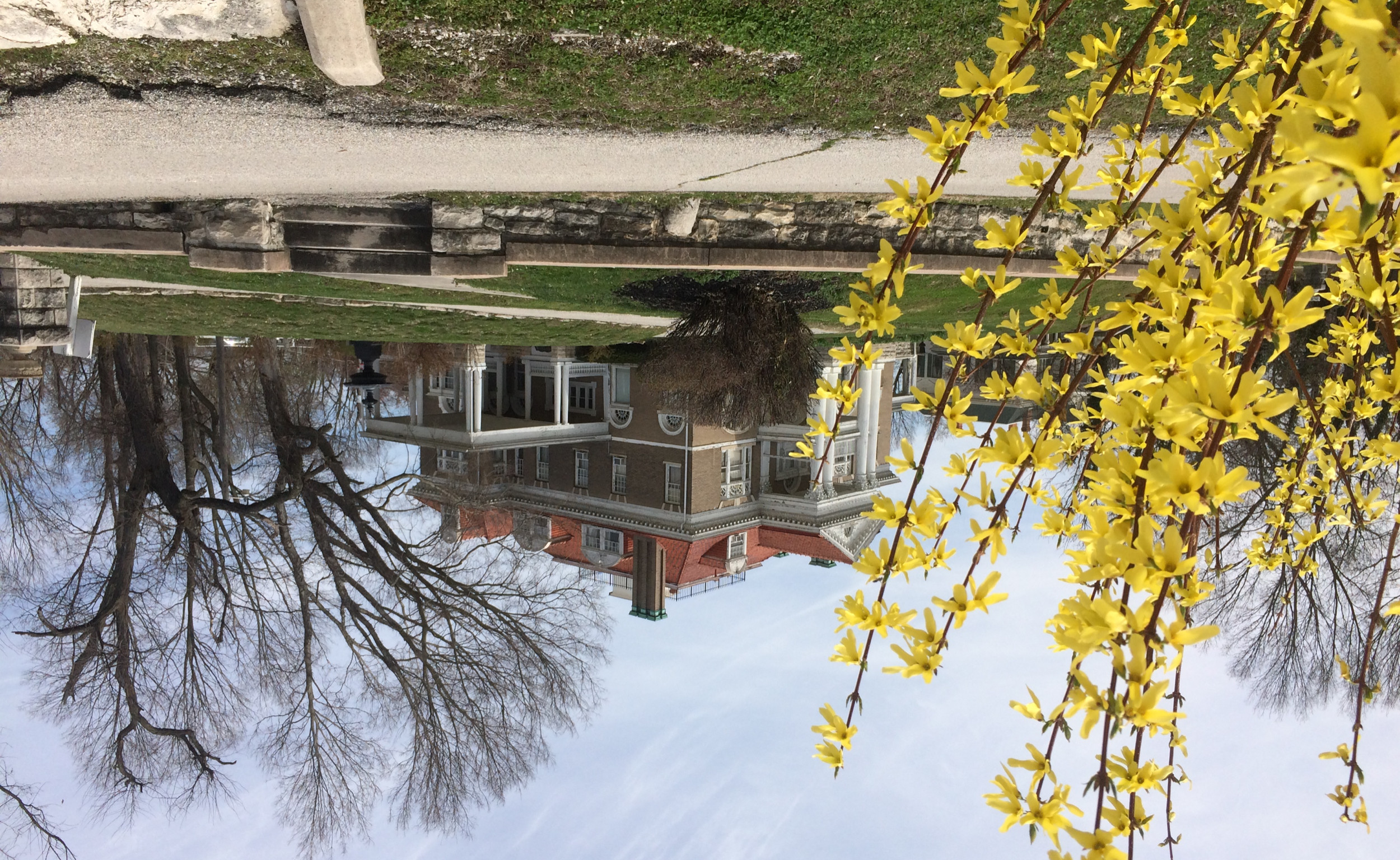 Spring Time