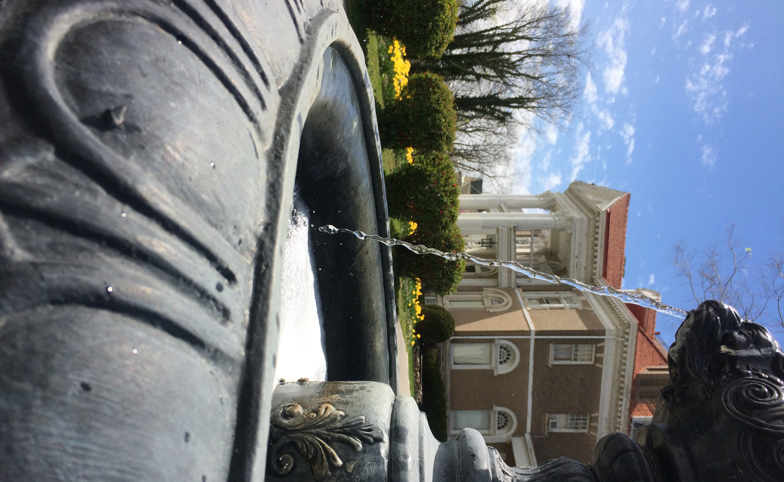 Fountain in Spring