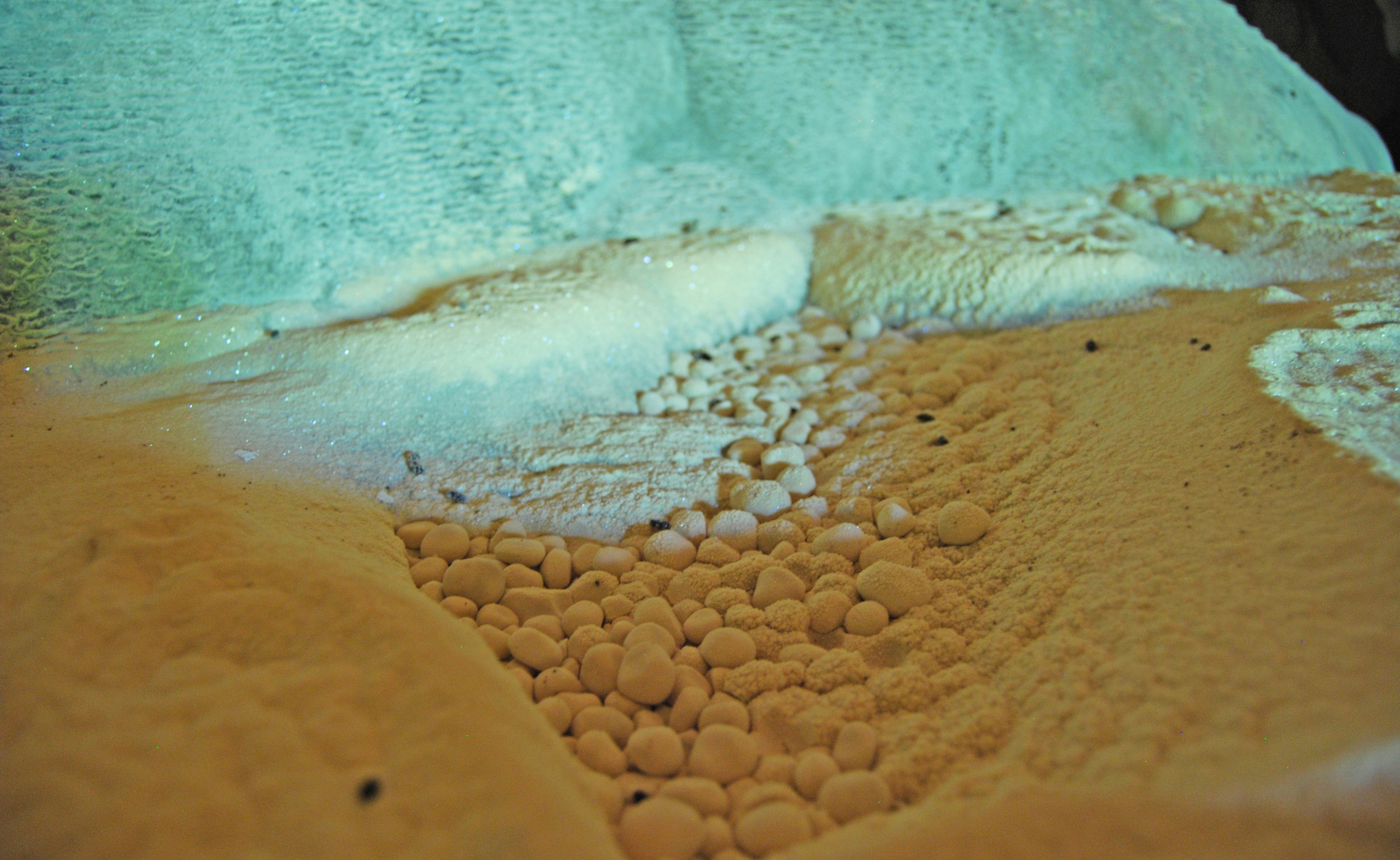 "Cave pearls" at the base of the Showerhead formation