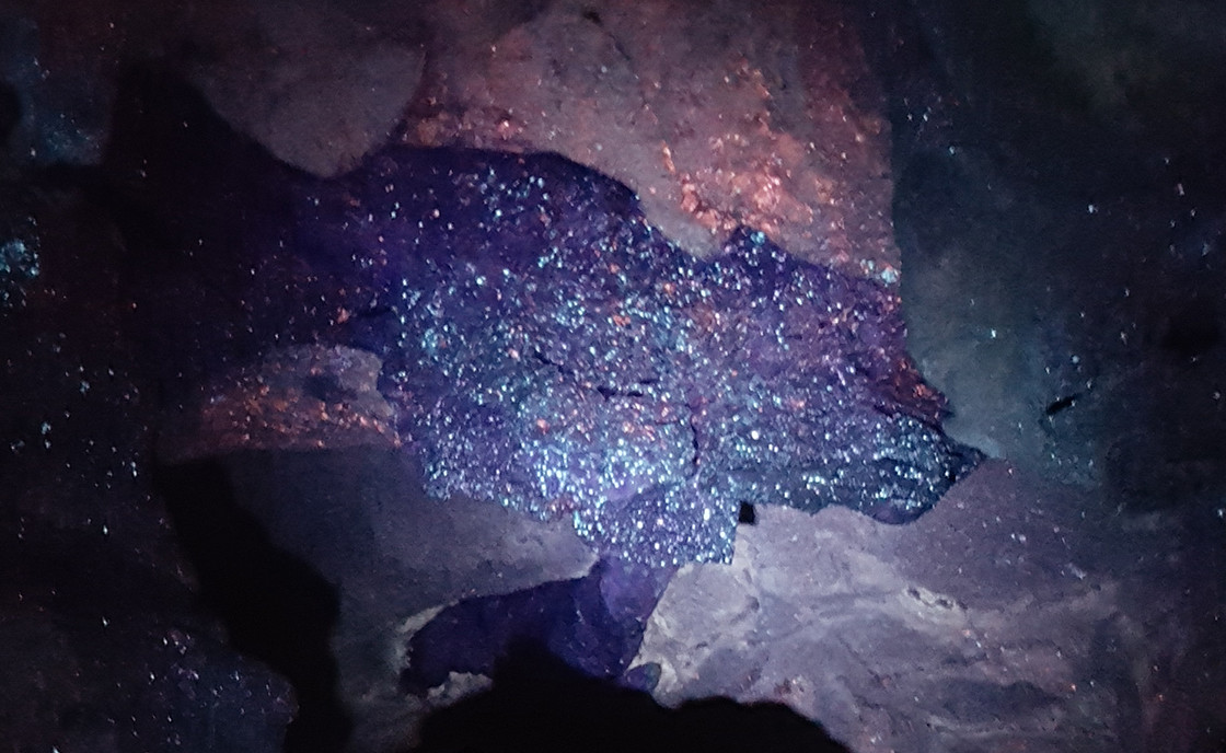 Black Light Tours