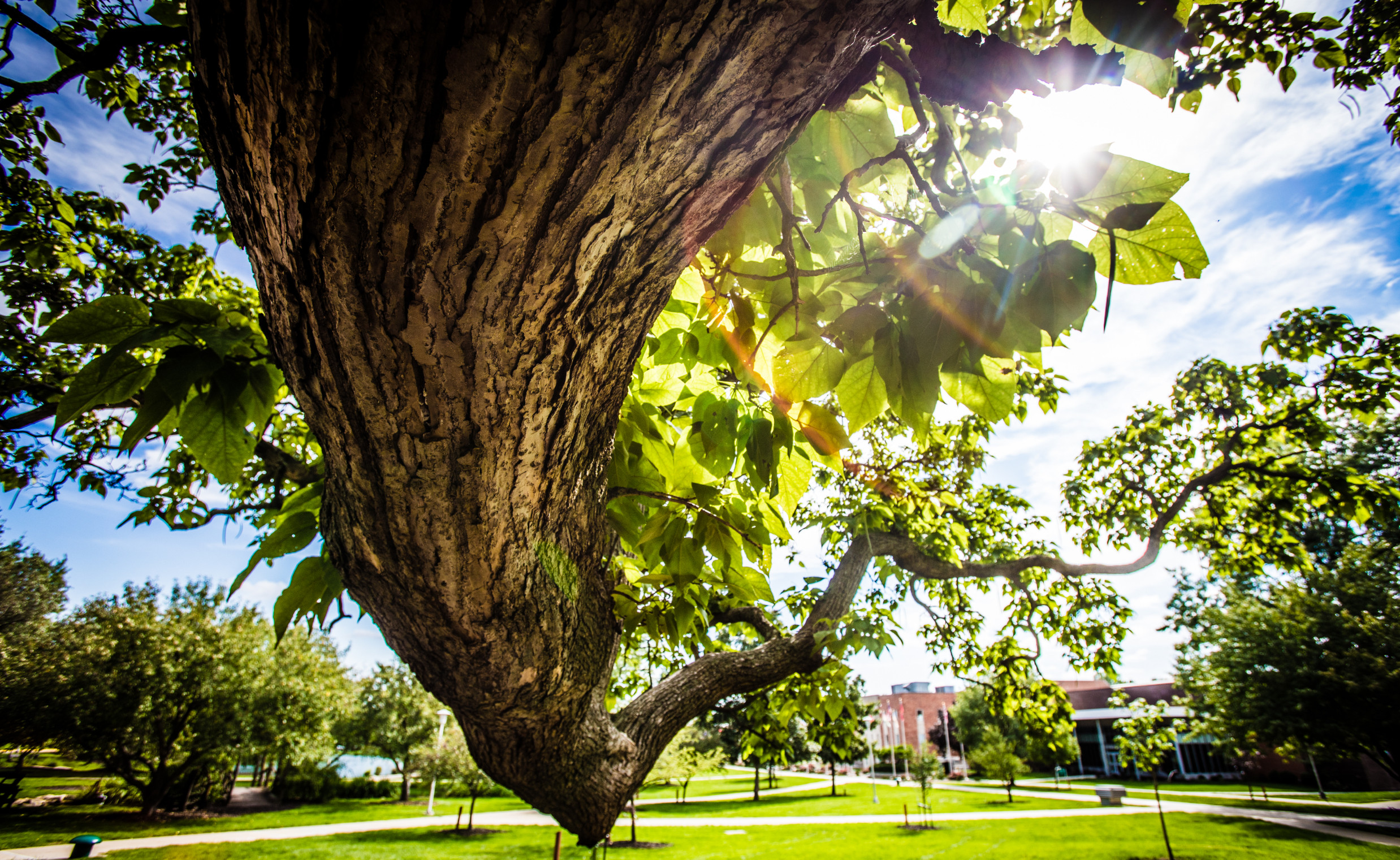 Northwest Missouri State University Sept. 9, 2018. (Photo Todd Weddle | Northwest Missouri State University)