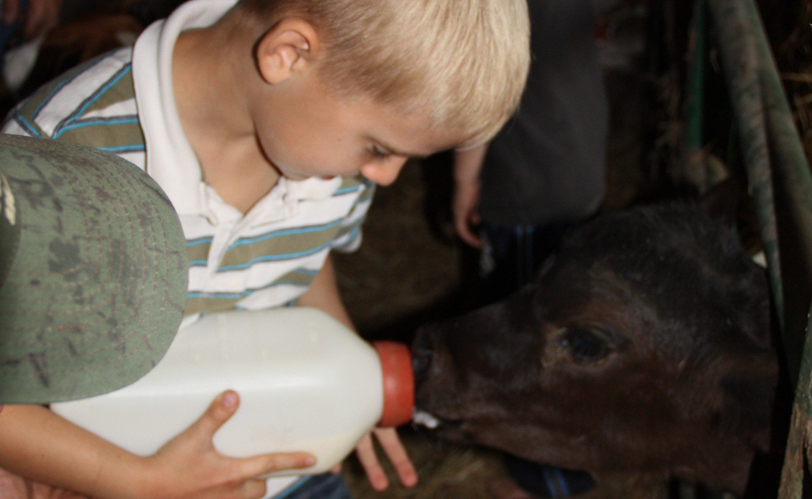Helping with chores