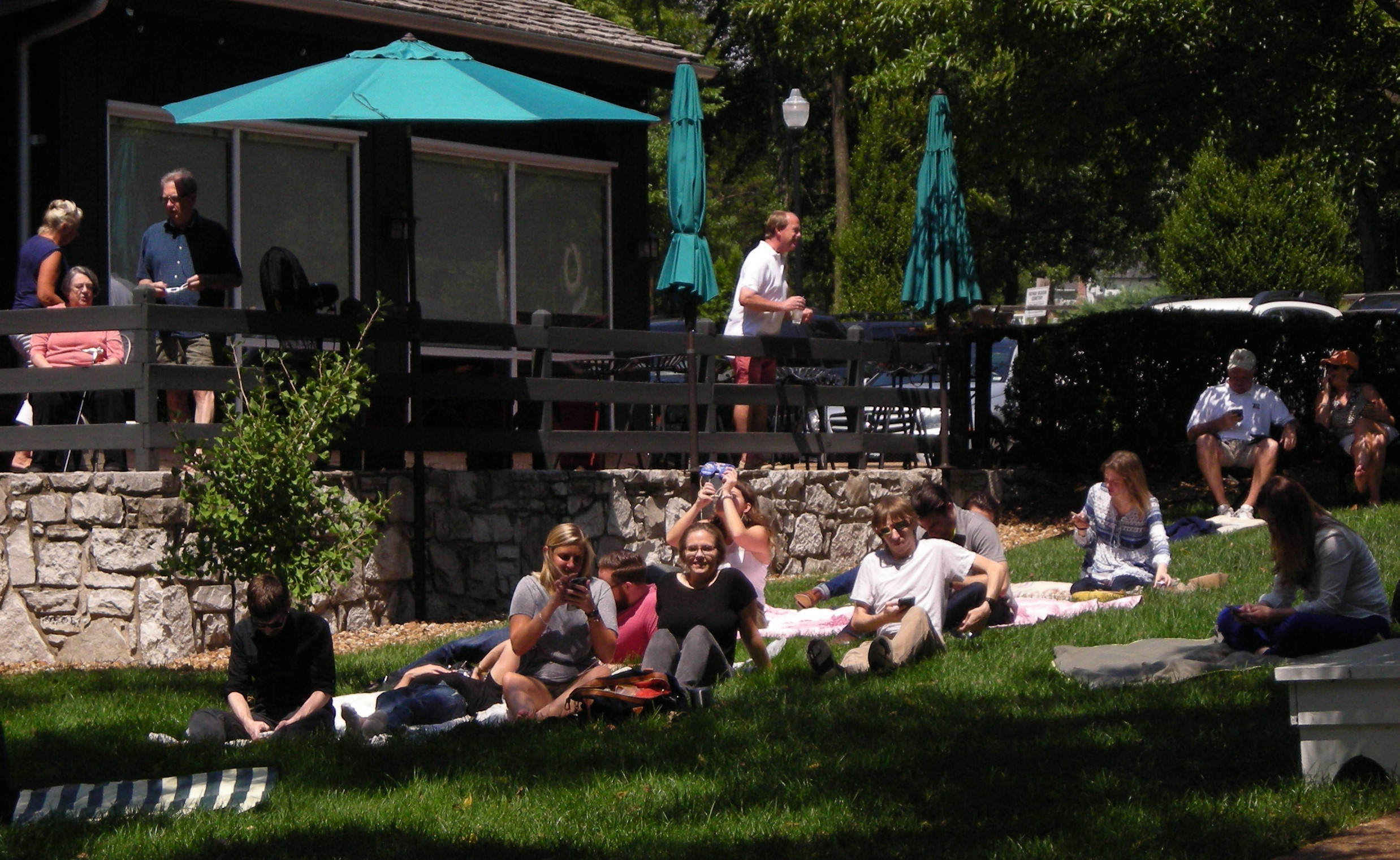 What a day for a picnic lunch!