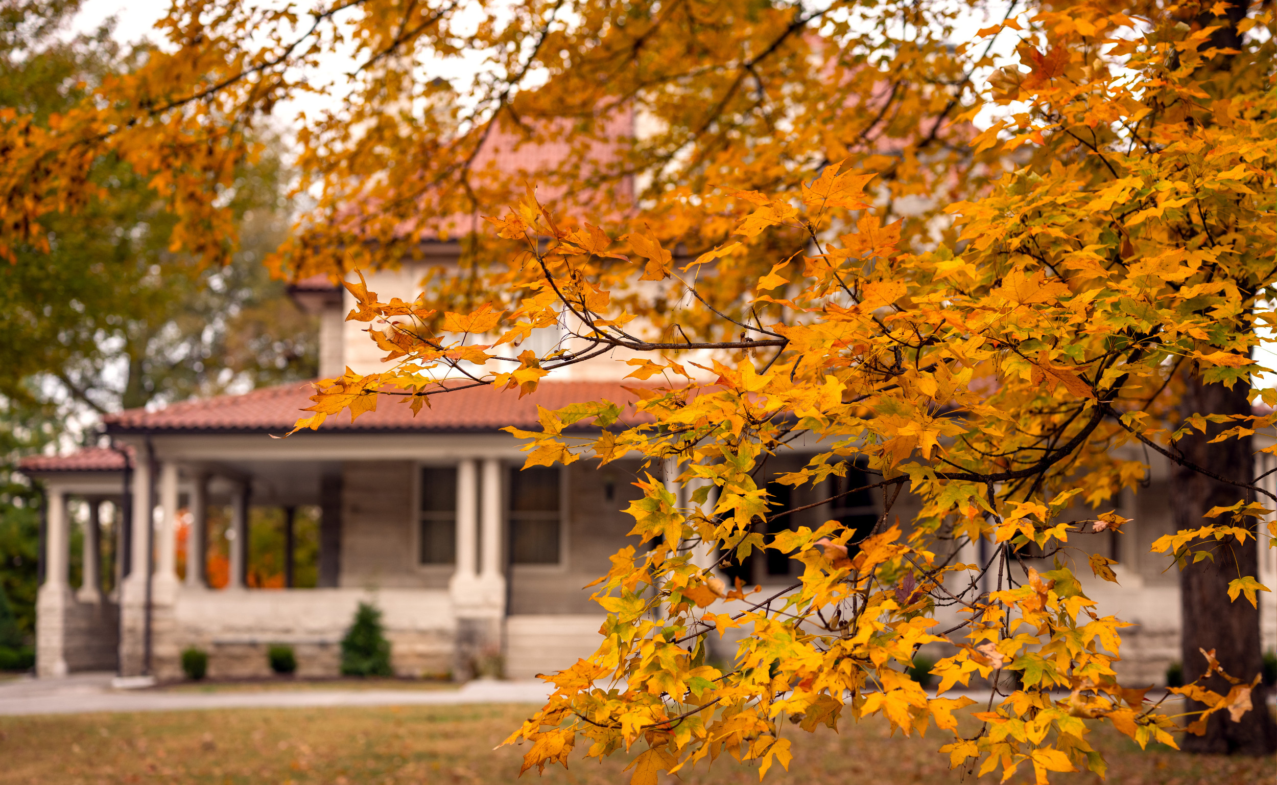 Phelps House