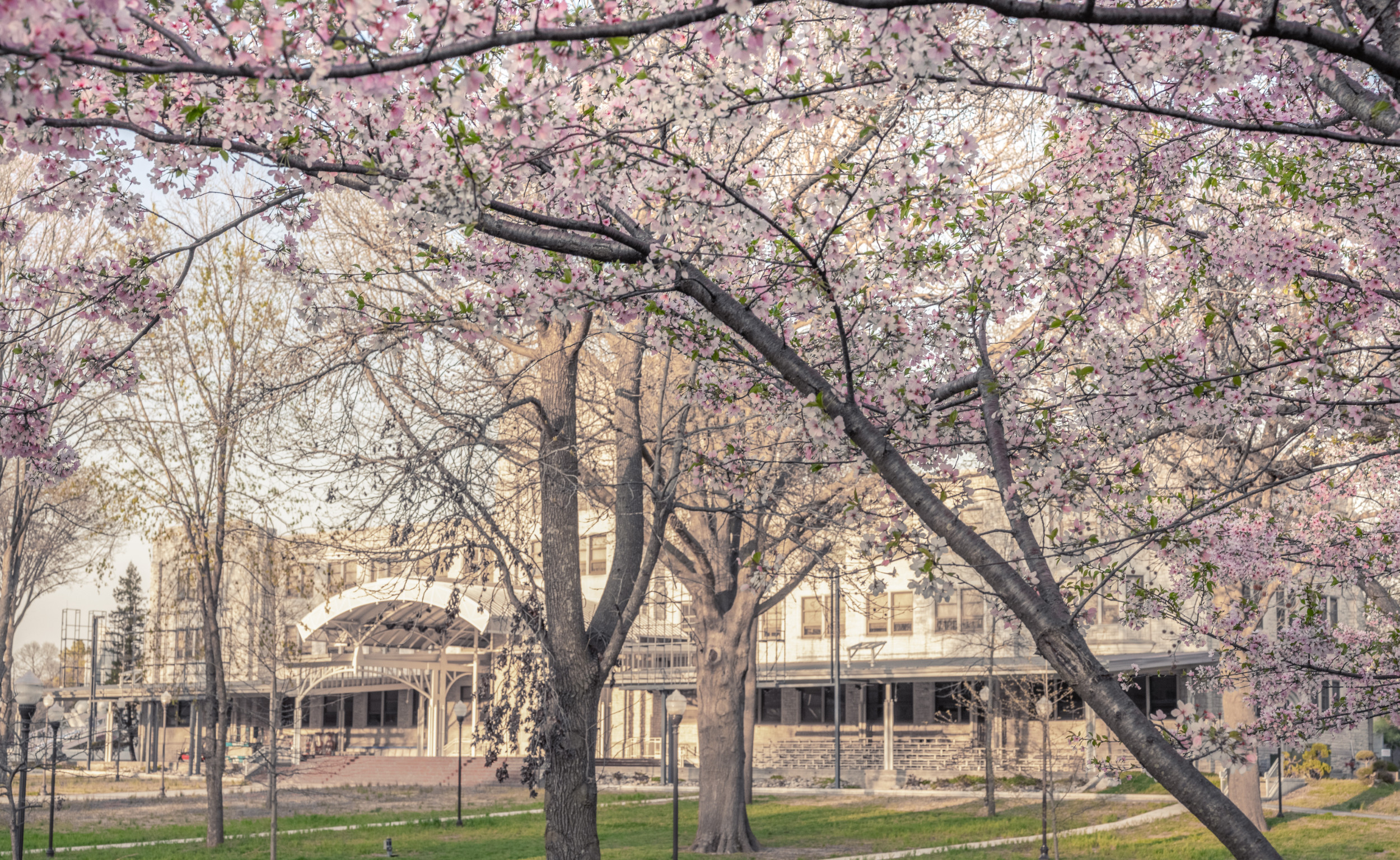 Springtime at CRM